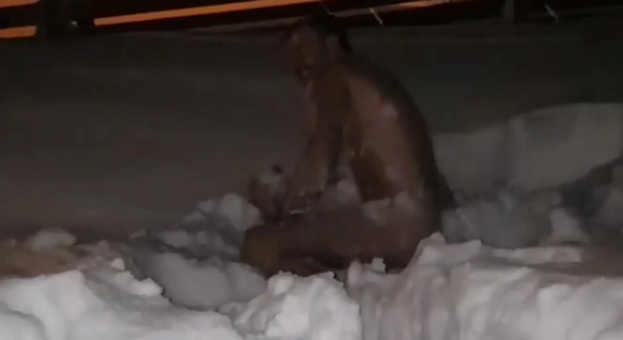 IAXKVZFOBMLD-high_1080p.mp4
