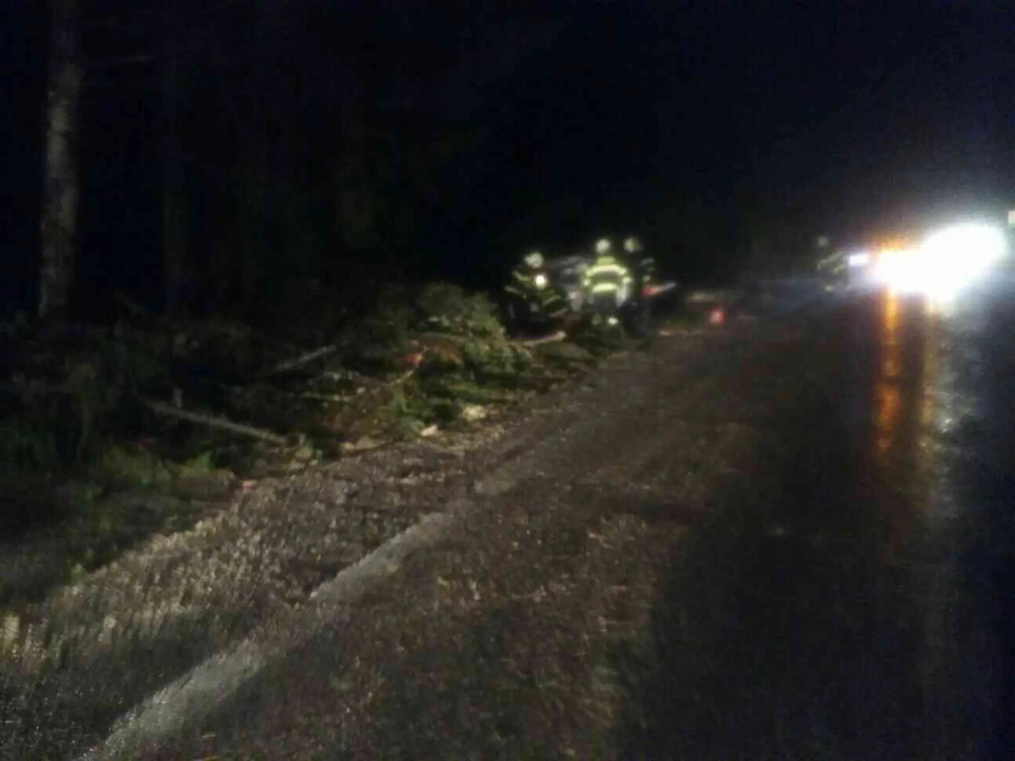 Na mladíka v aute spadol strom.jpg