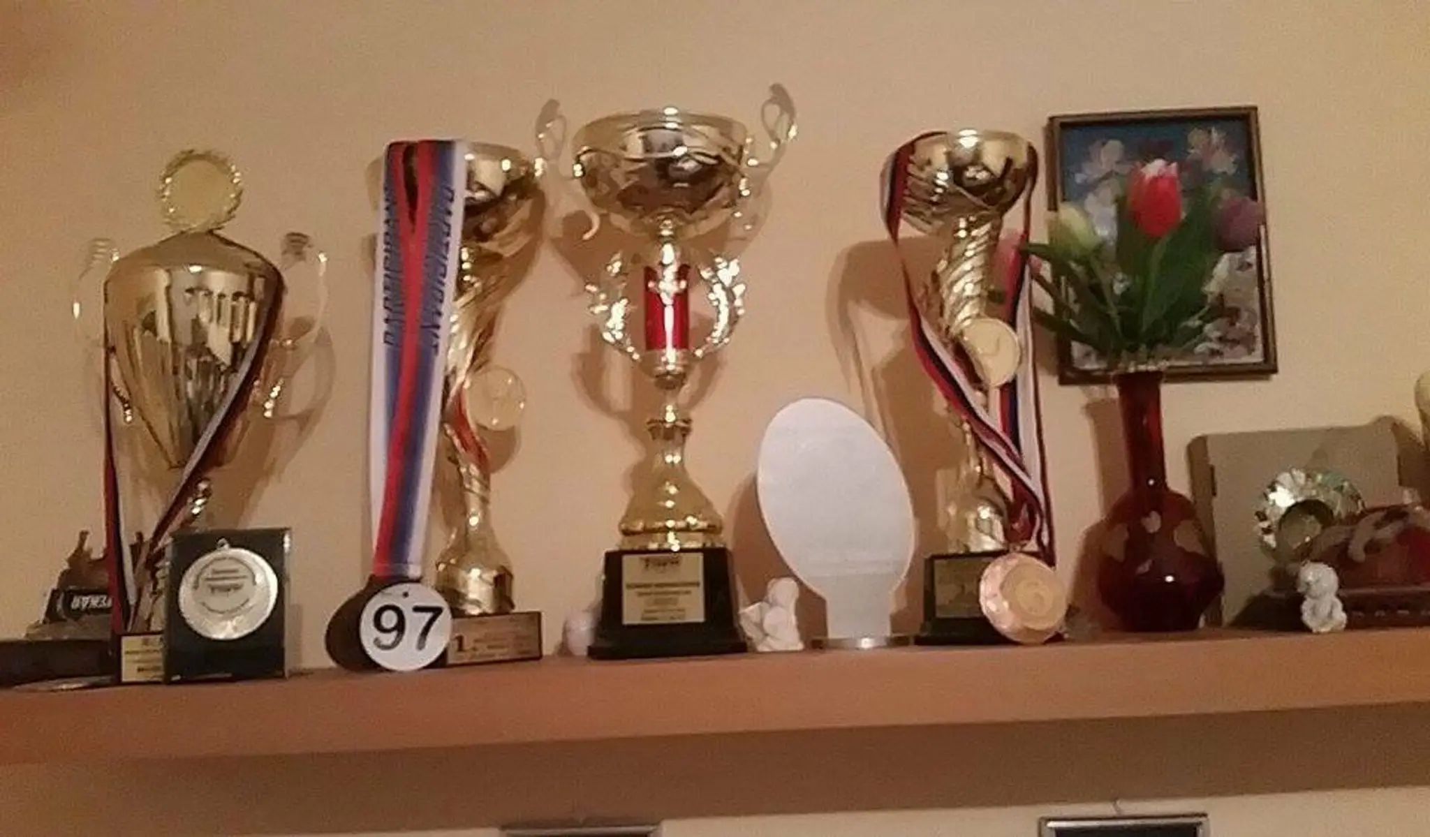 Erik Vanko- trofeje.