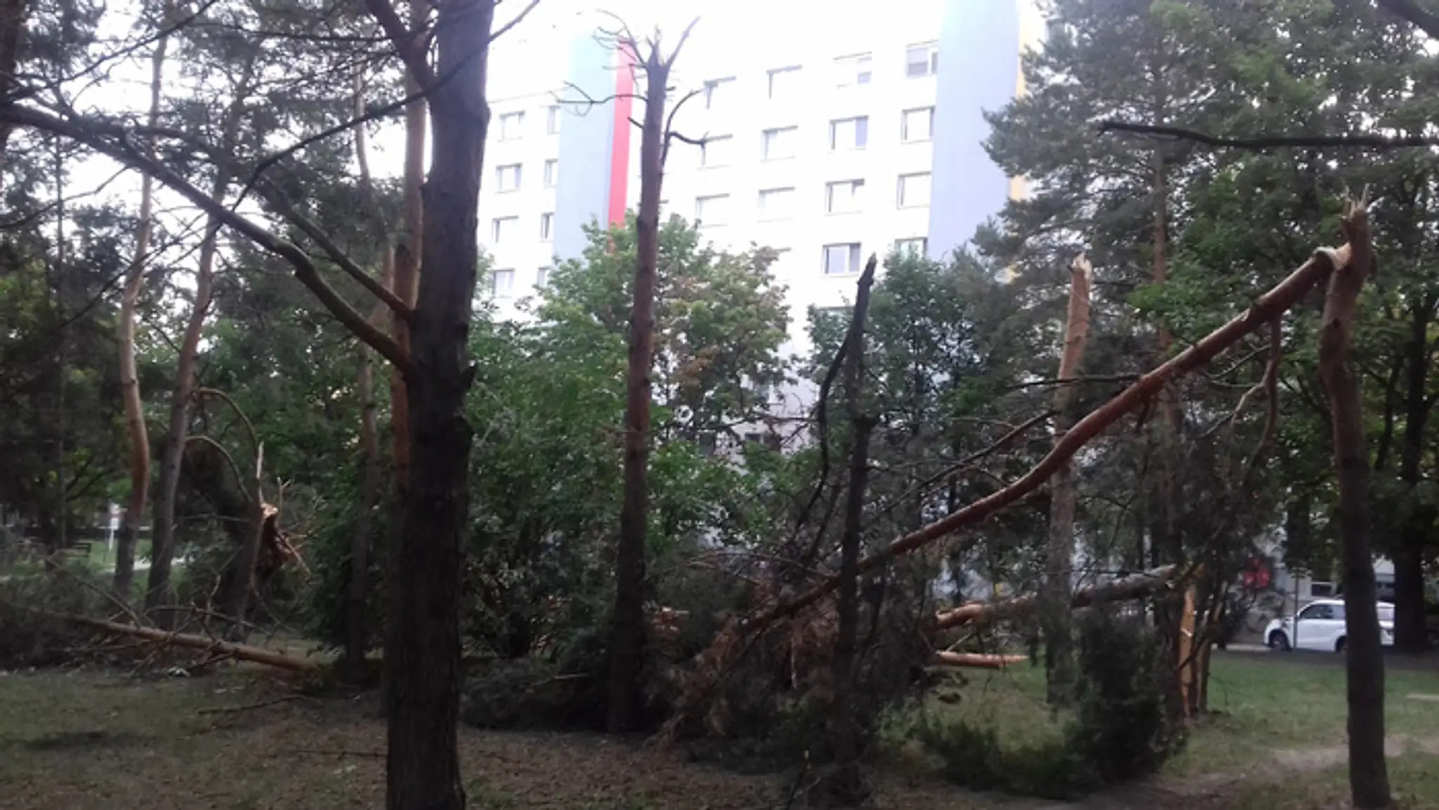 Polámané stromy v bratislavskej mestskej časti Dúbravka.