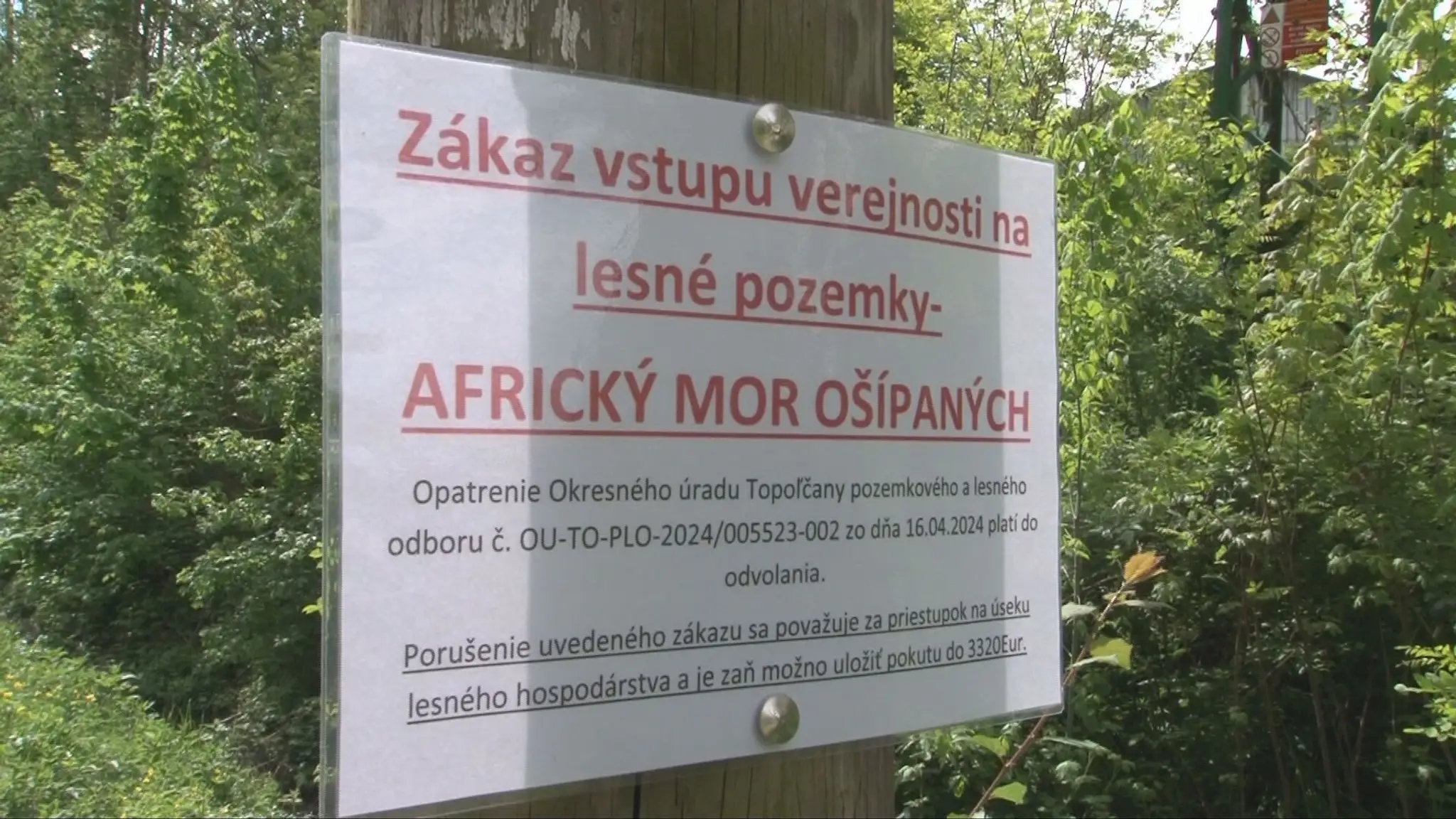 Africký mor ošípaných