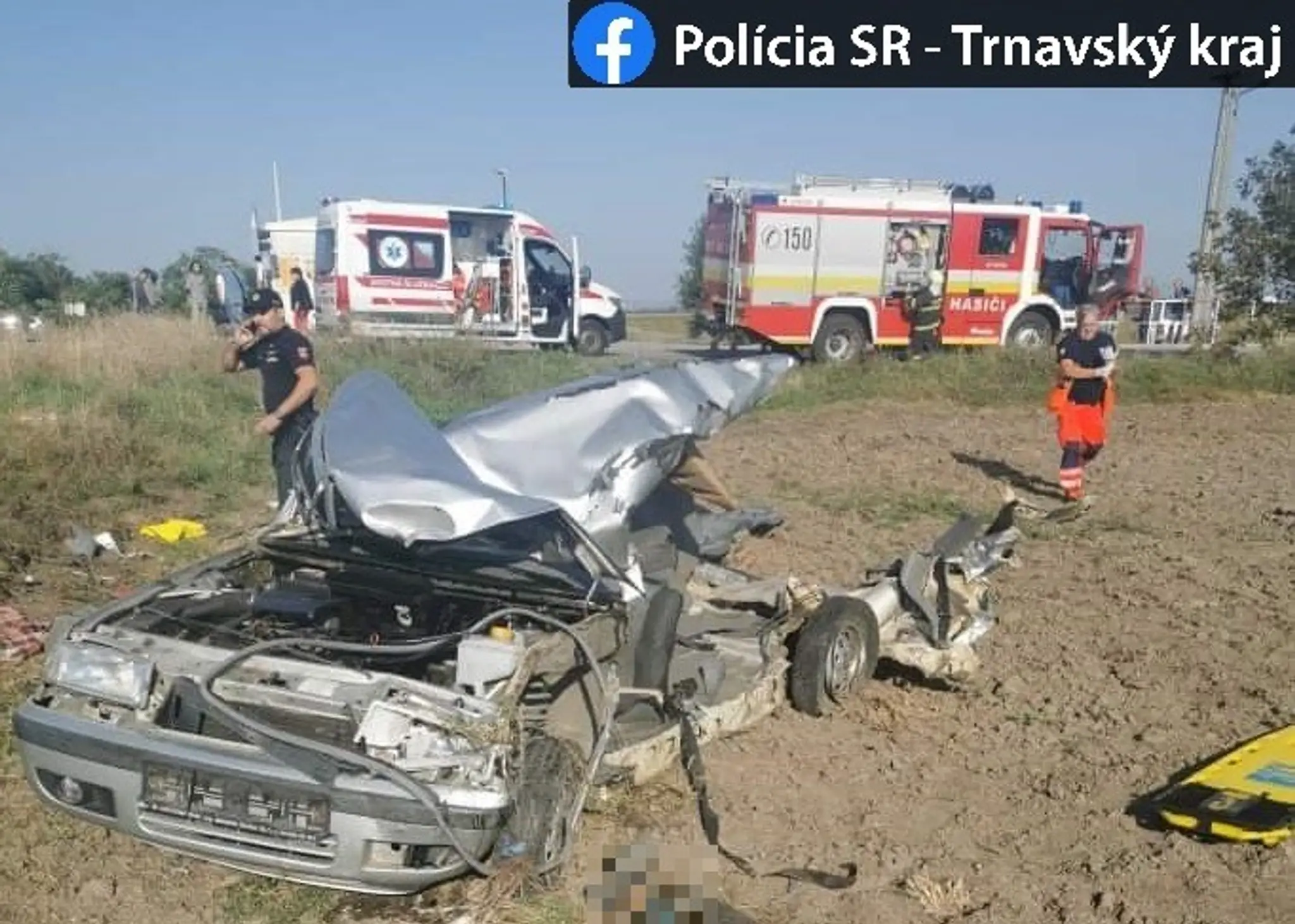 Na pobreží Tasmánie uviazli veľryby