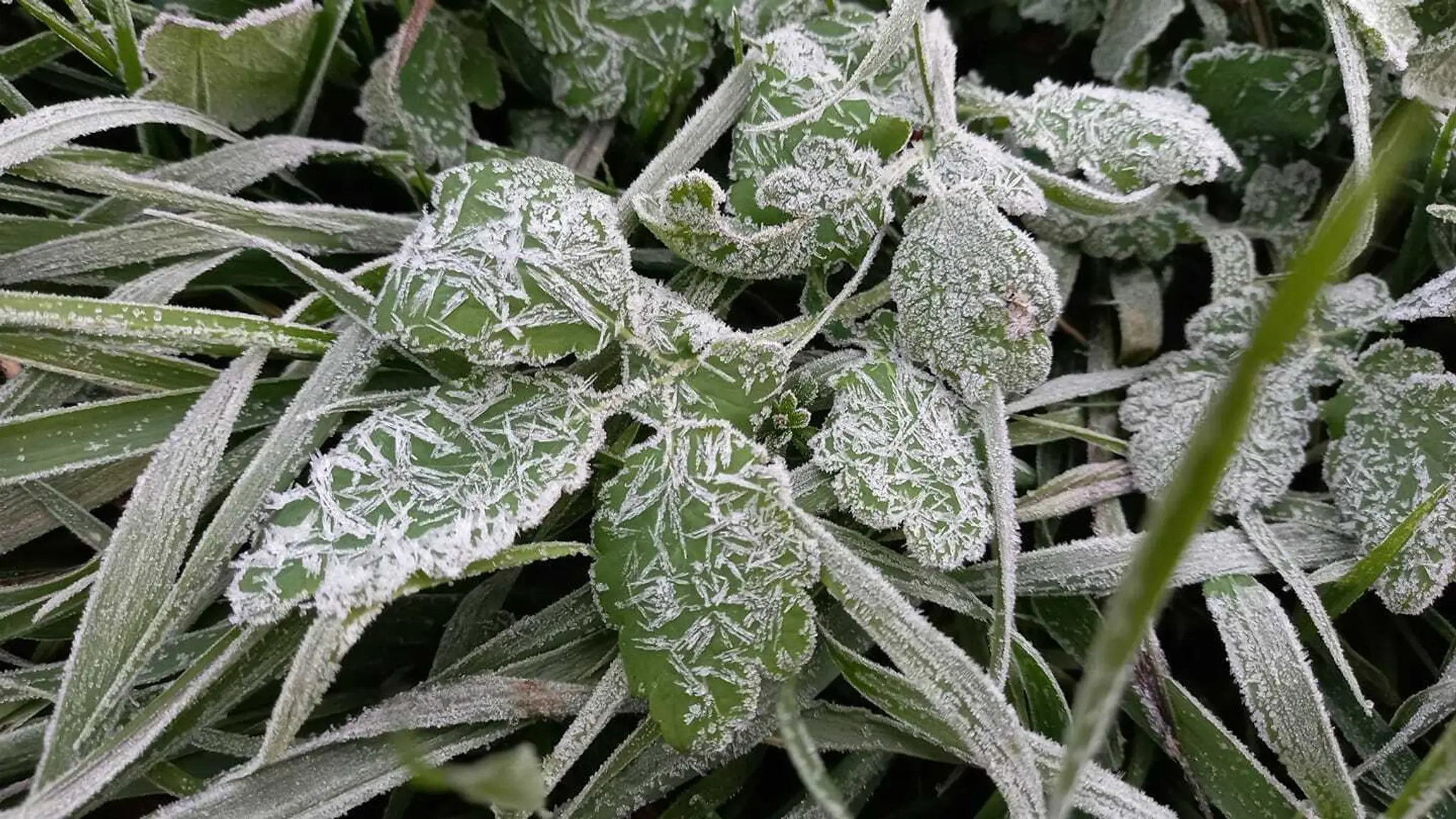 Foto od vás - Heľpa