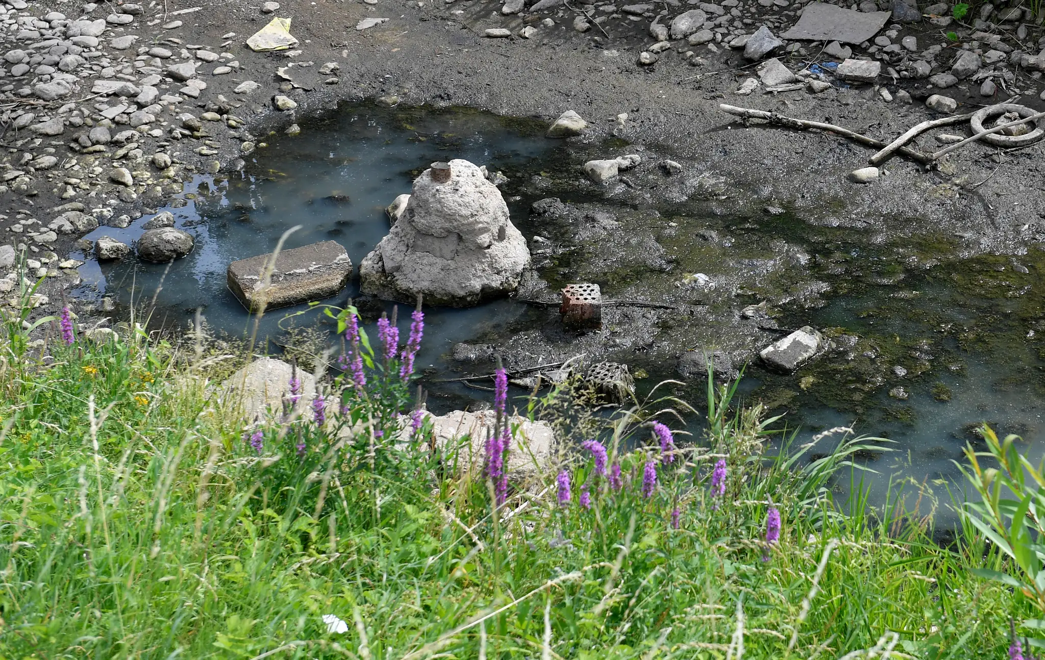 bodva12_18_7_2022886420