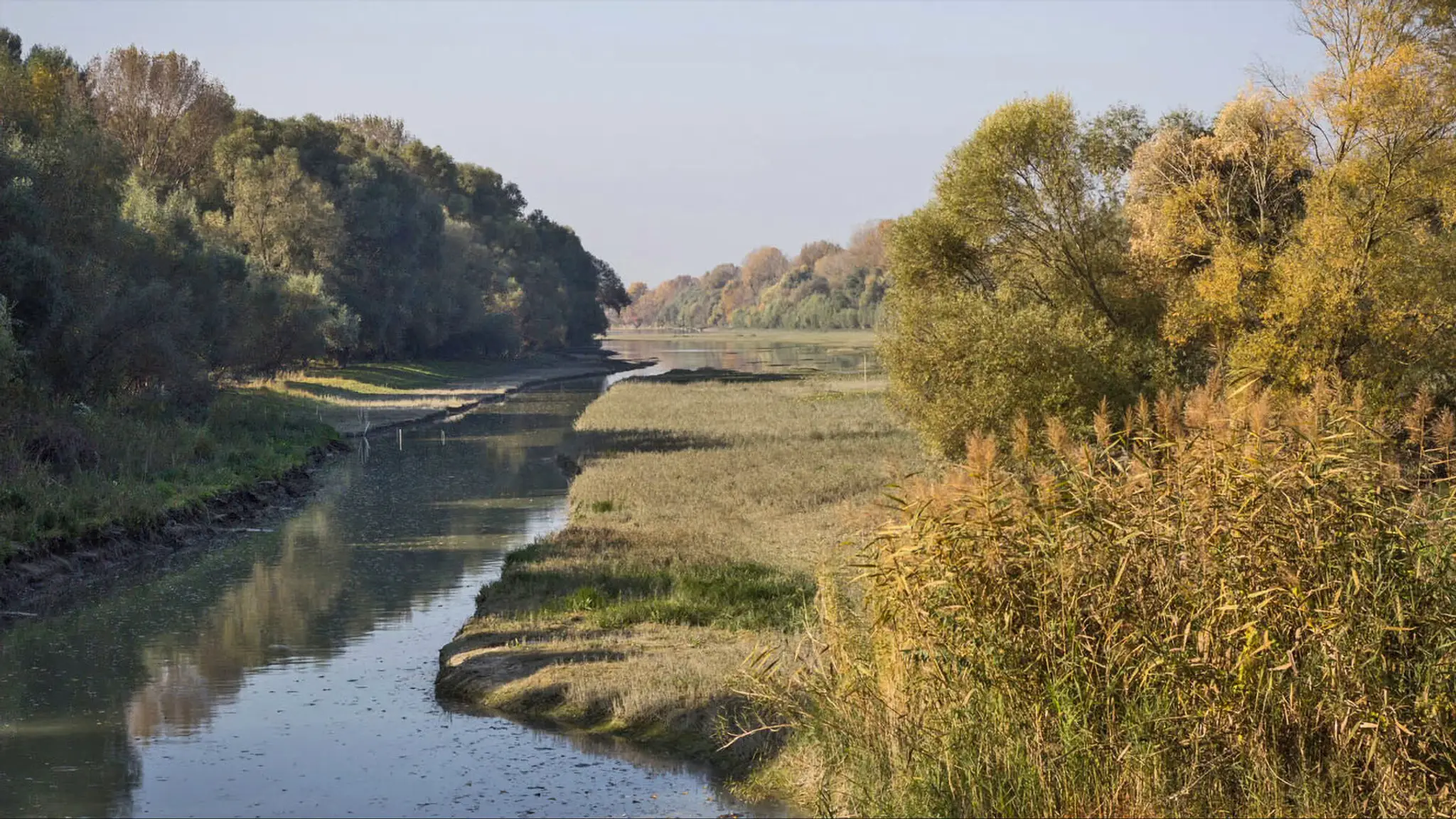 Veľkolélsky ostrov