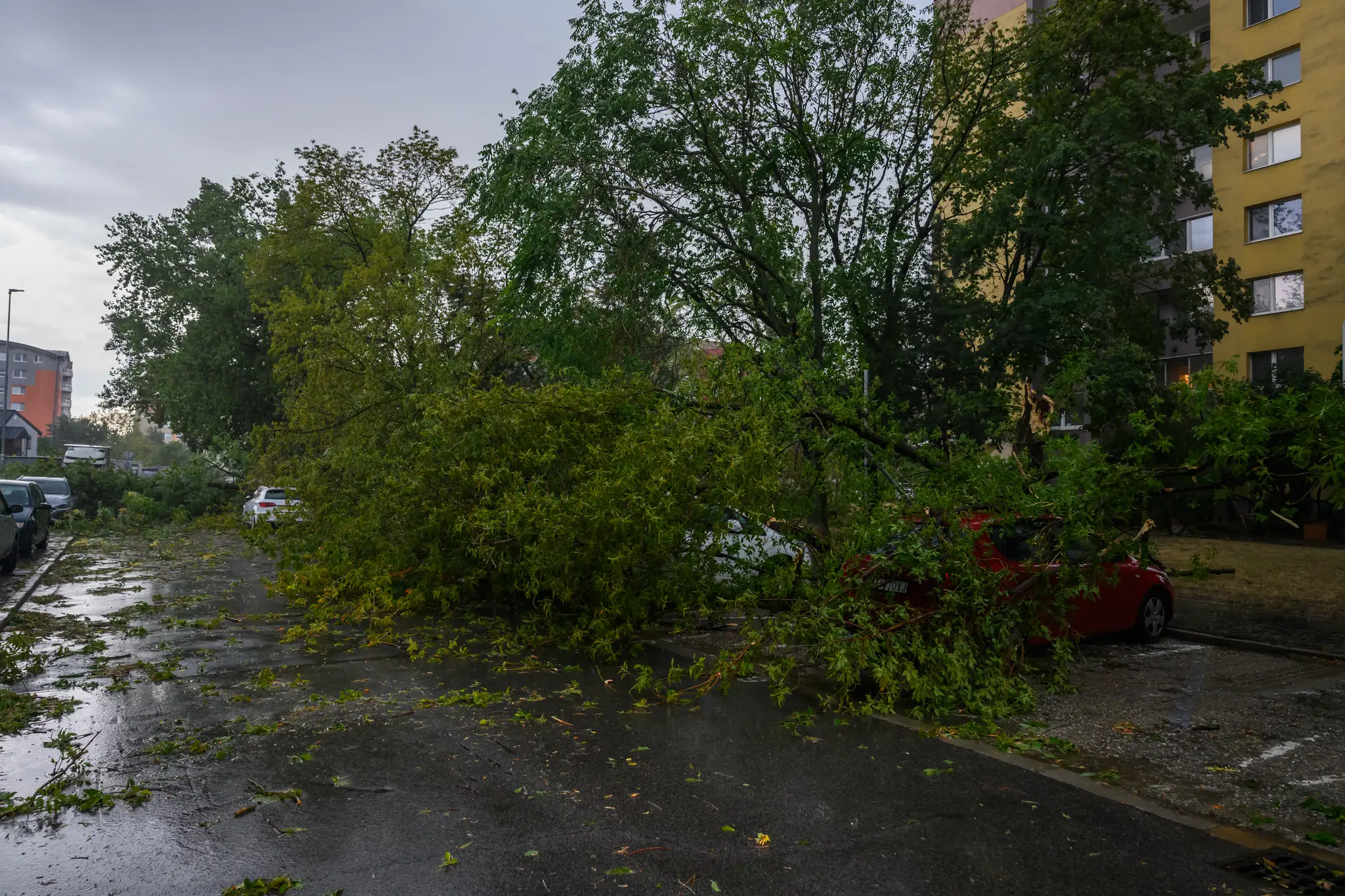Búrka v hlavnom mesta zanechala spúšť.