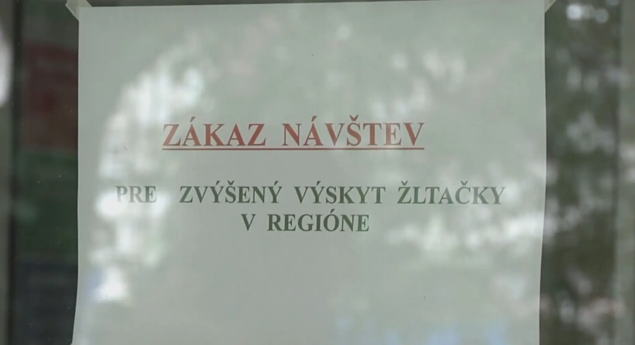 Žltačka v Bratislave