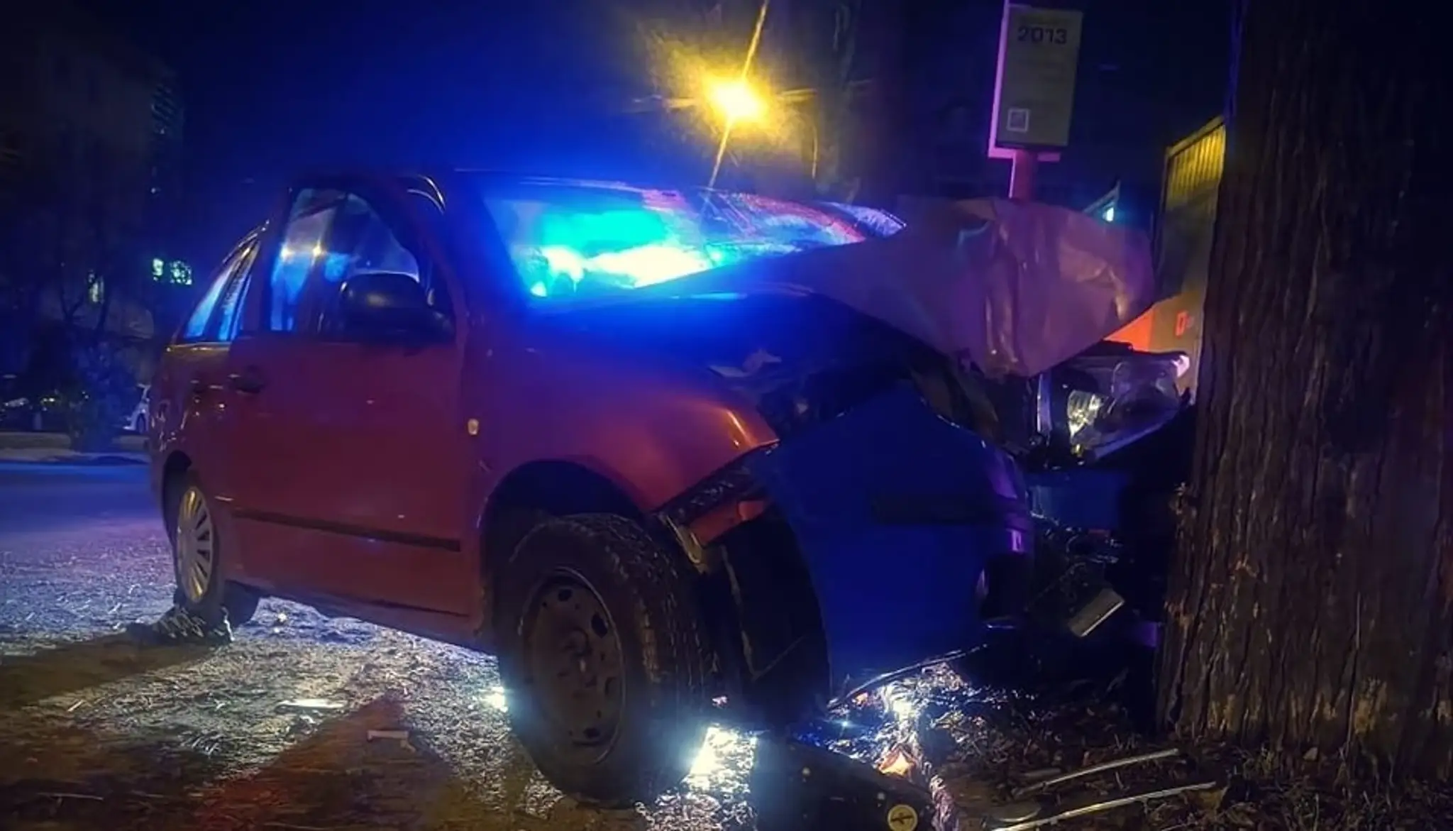 Auto po náraze do stromu.