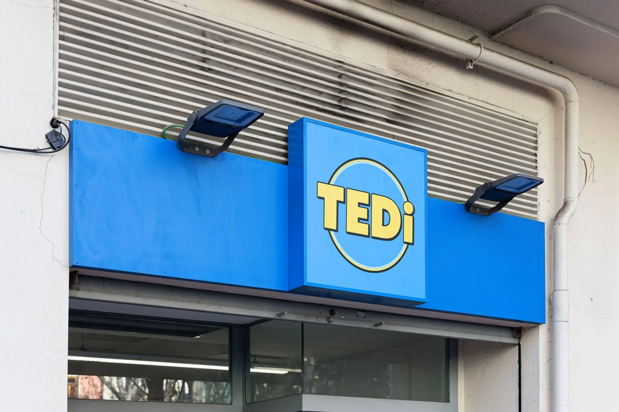 Tedi. Ilustračná snímka