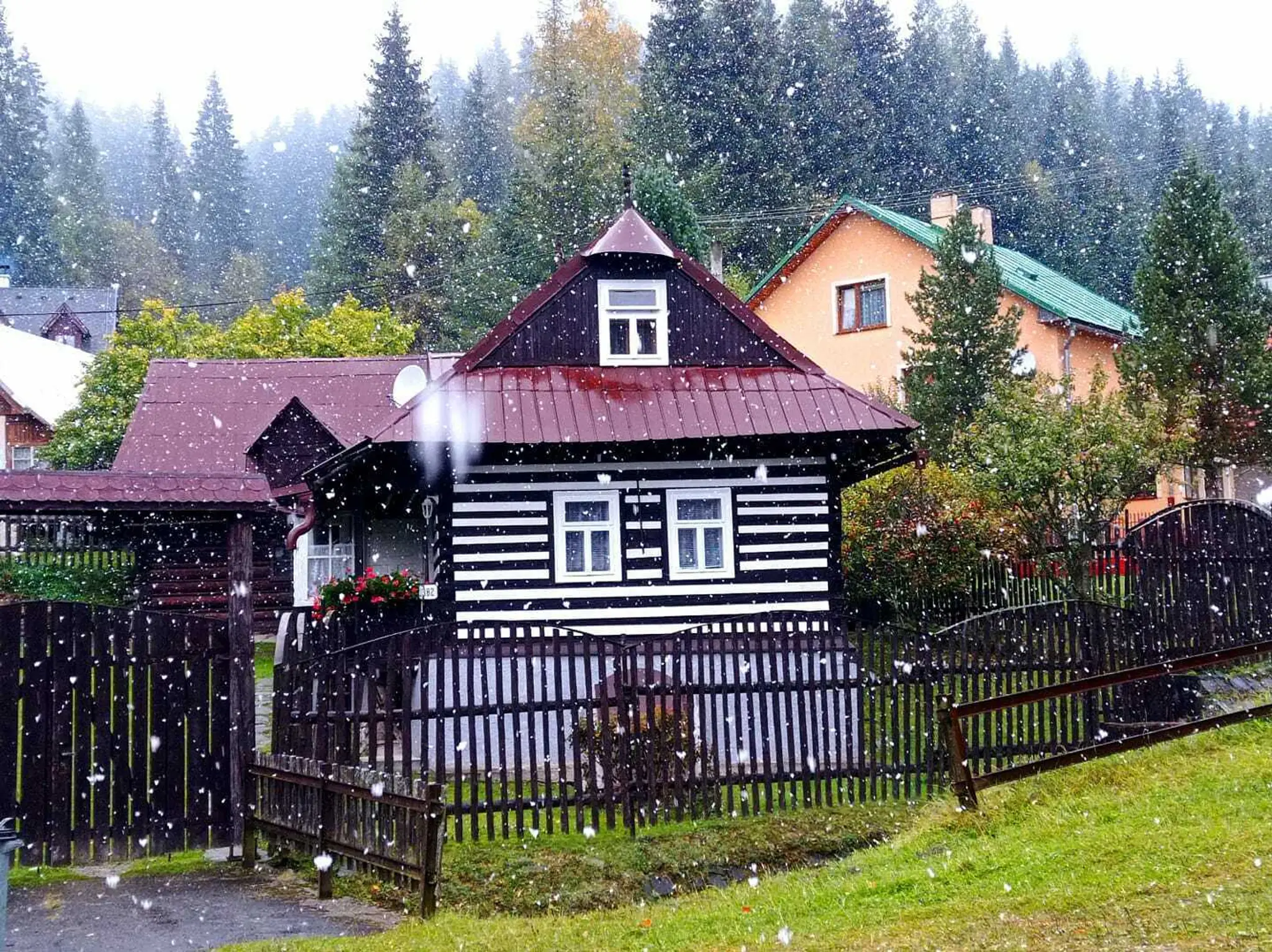 Foto od vás - Šumiac.