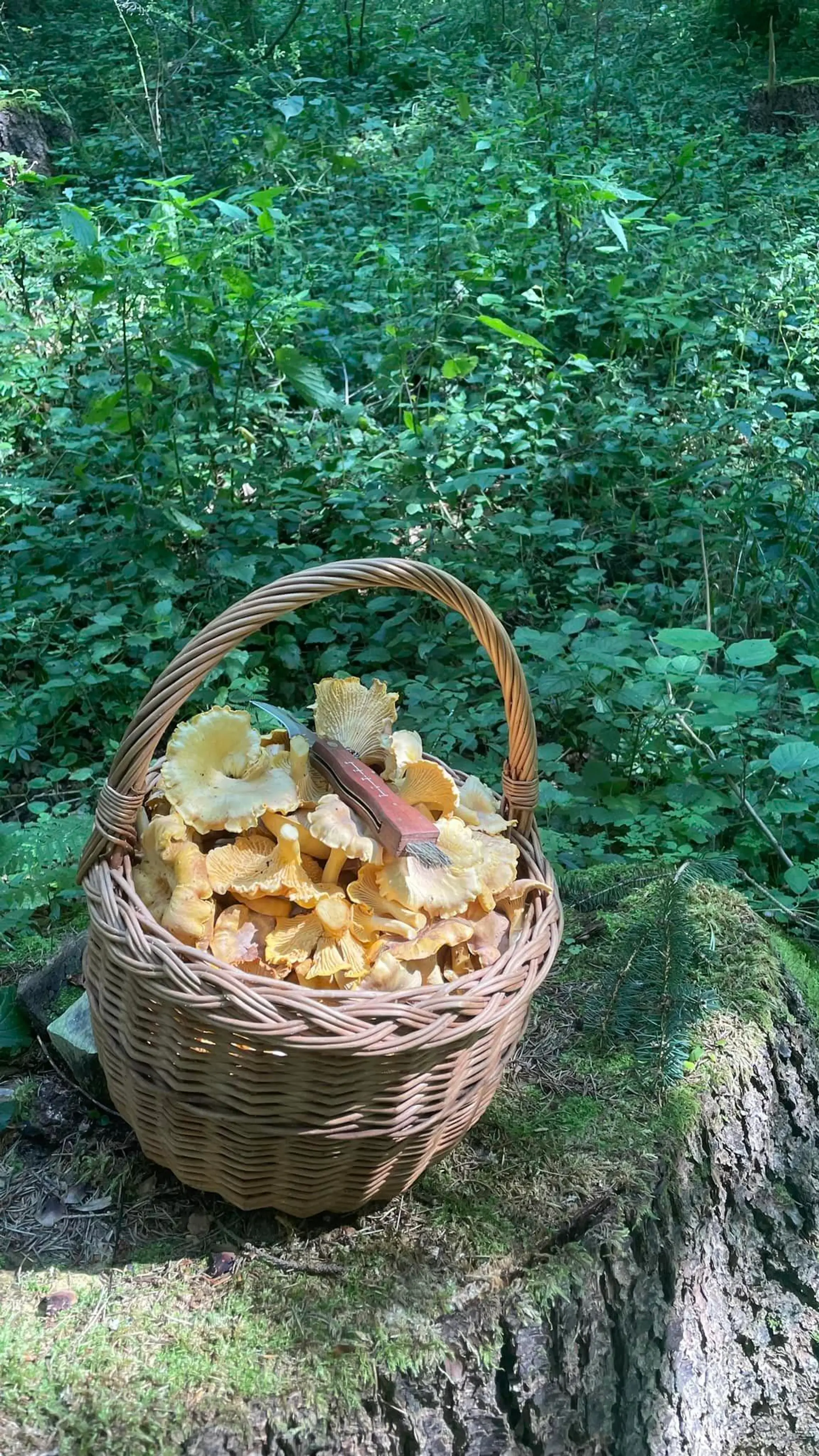 Aj v okolí Zliechova sa darí. Svoje o tom vie Vladimír Katerinčin.