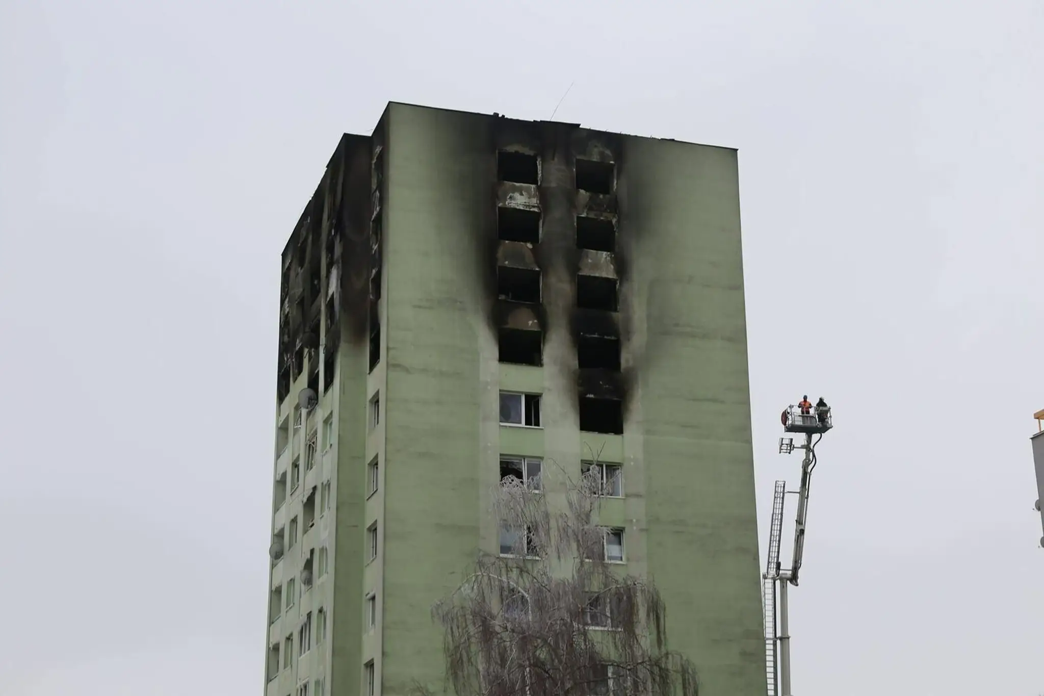 11323e.jpg