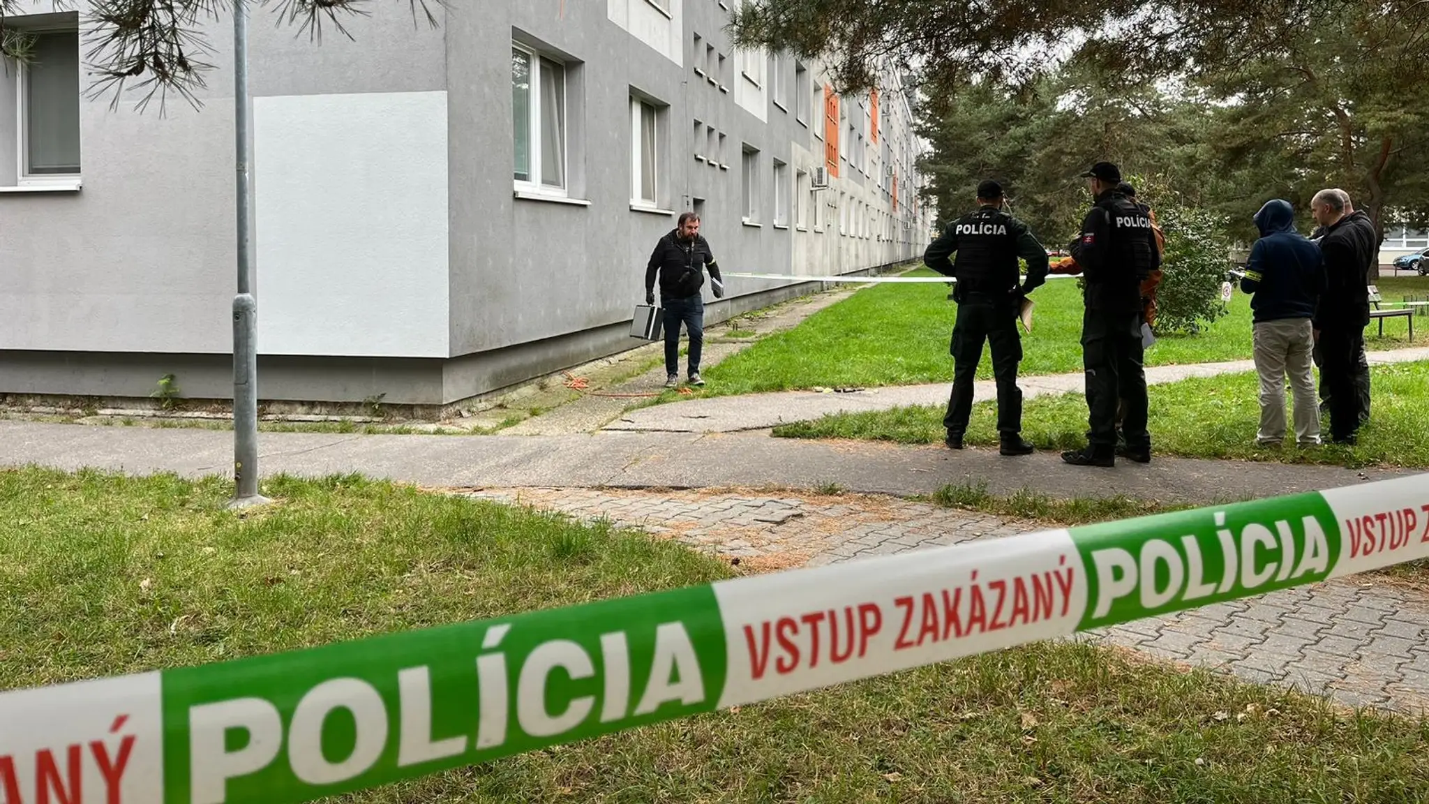 Chlapca, ktorý strieľal, polícia zadržala.