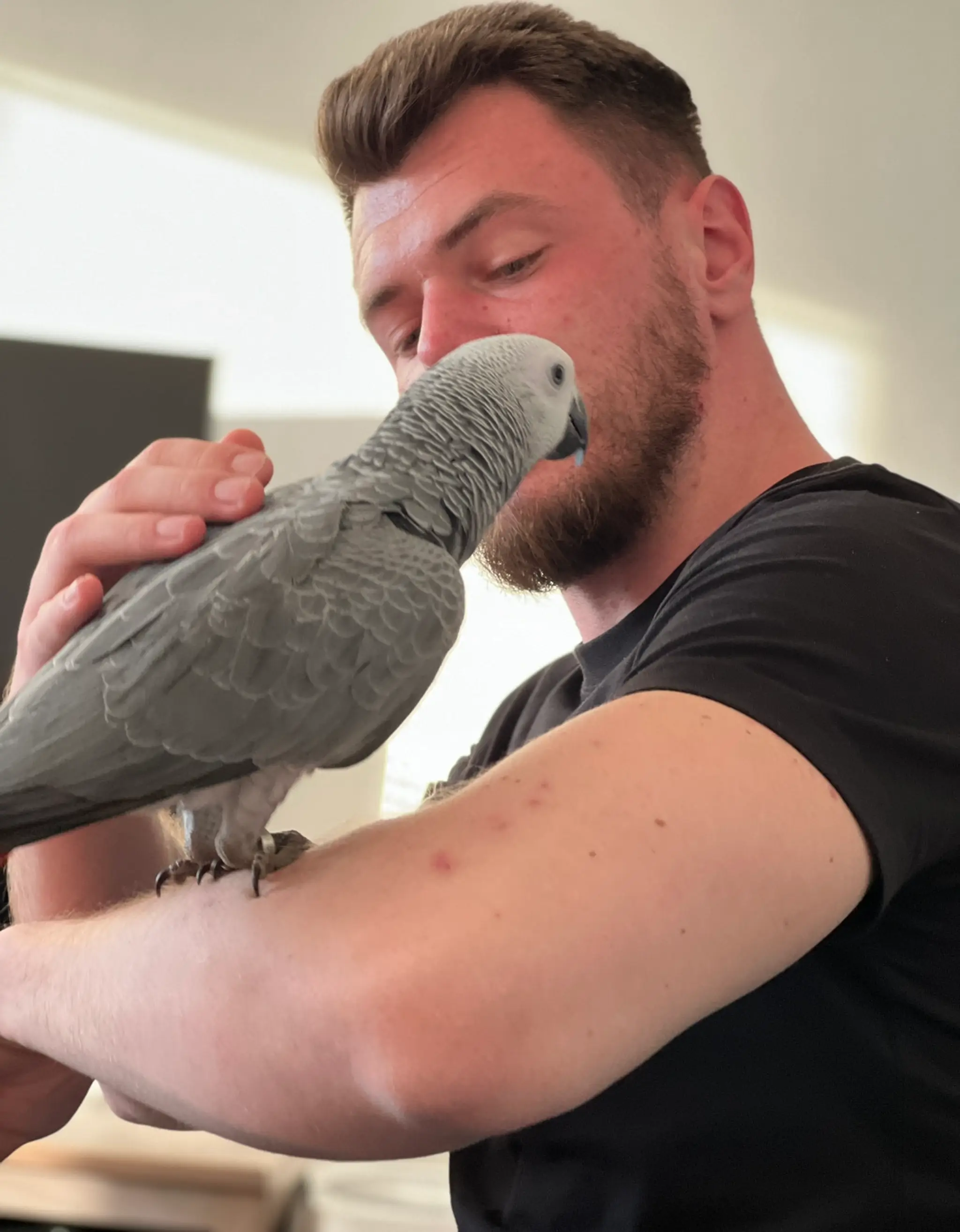 Papagáj Bobo.