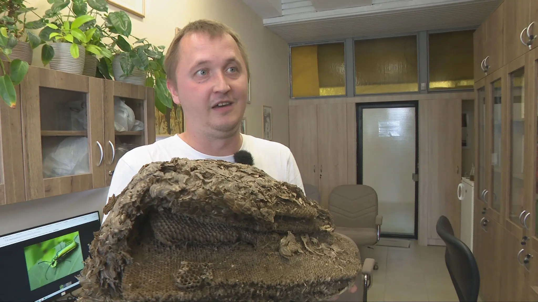 Pozor na jedovatý hmyz.