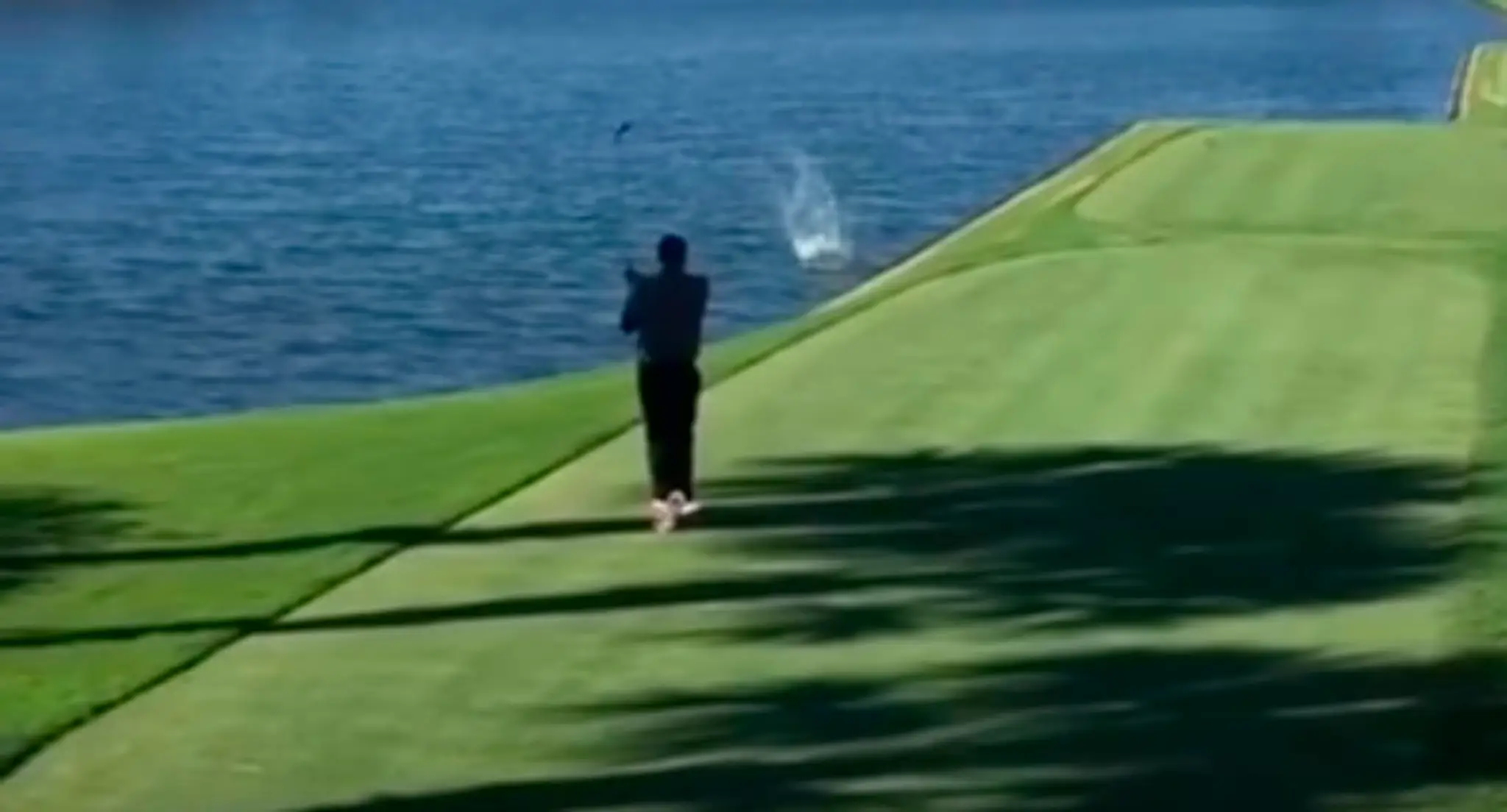Golfista trafil kačicu.