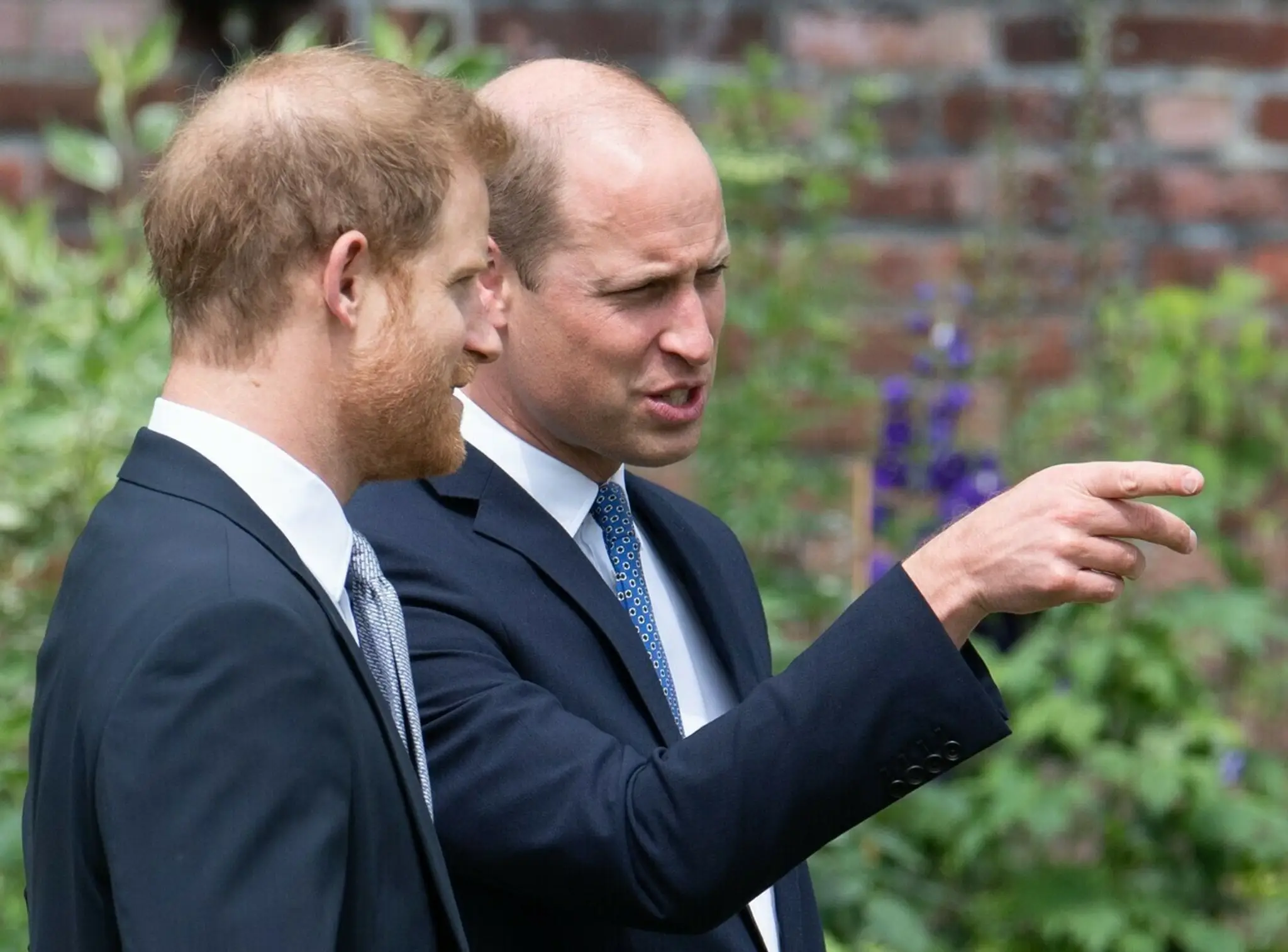 Princovia Harry a William