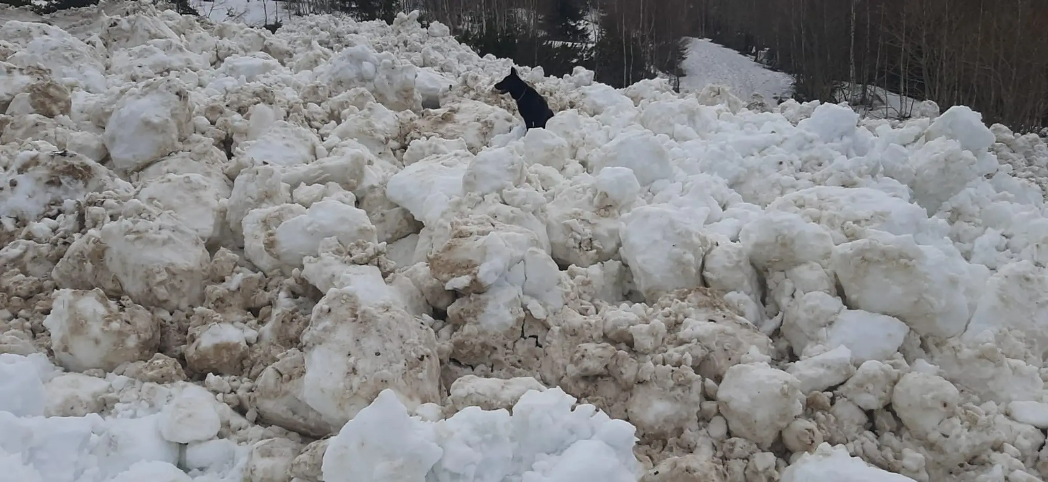 V Žiarskej doline spadla lavína