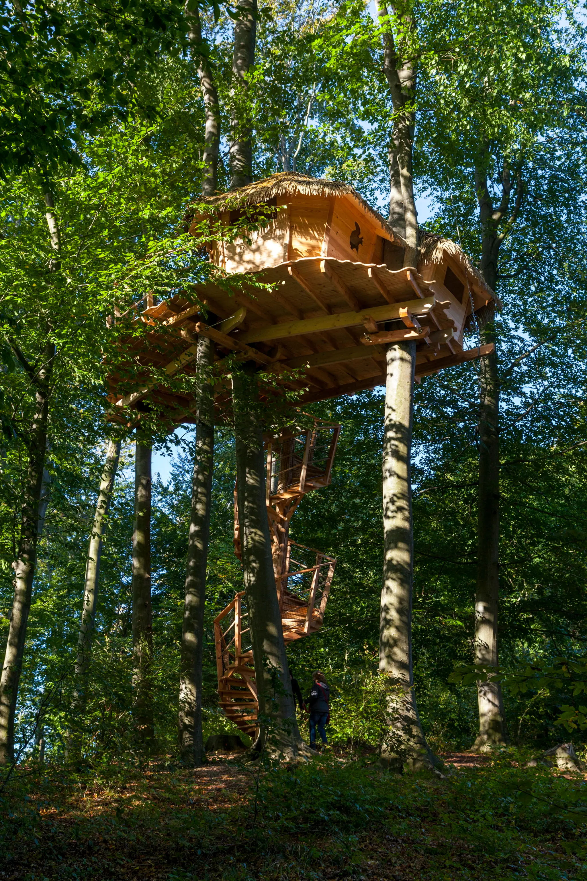 Domček na strome na bratislavskom Kačíne