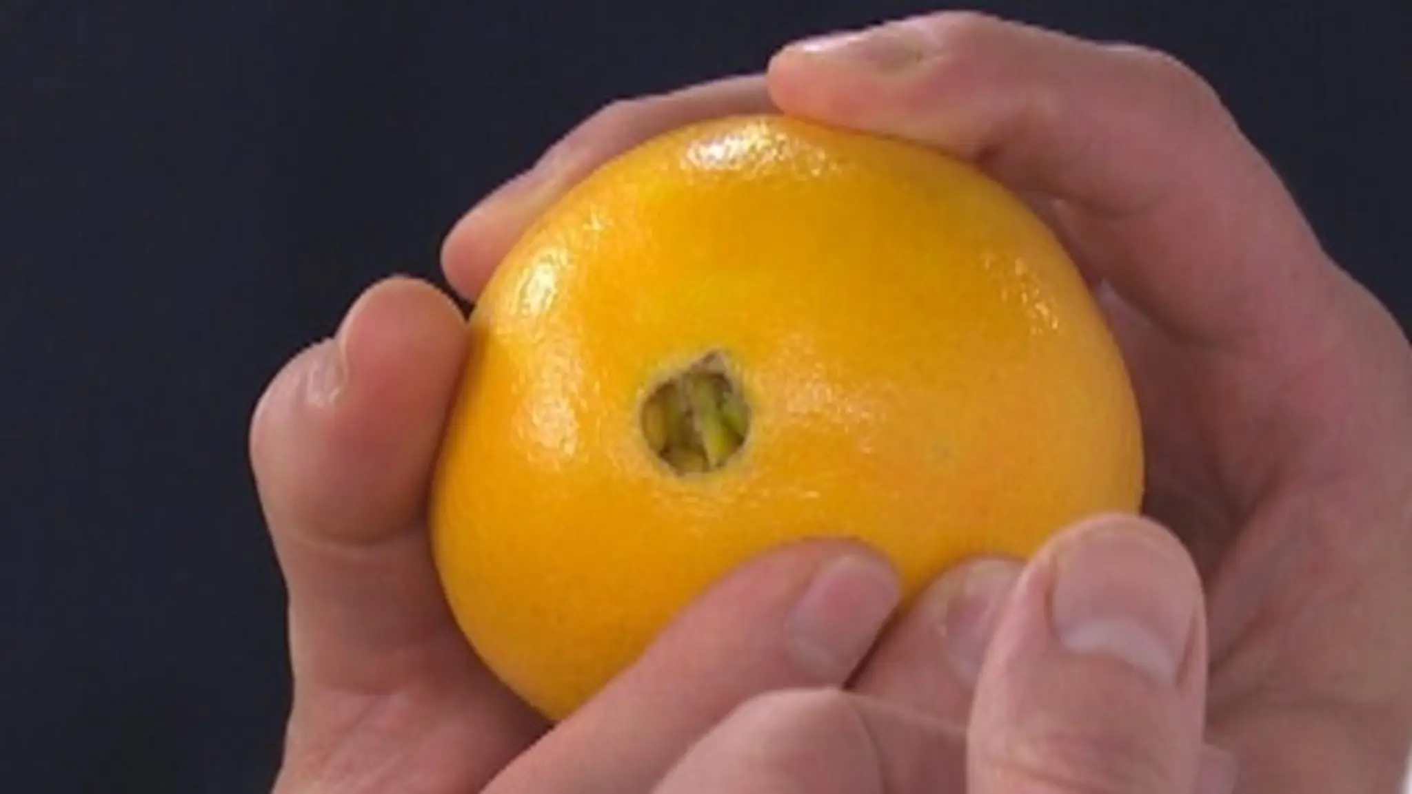 citrusy-v-kuchyni.jpg