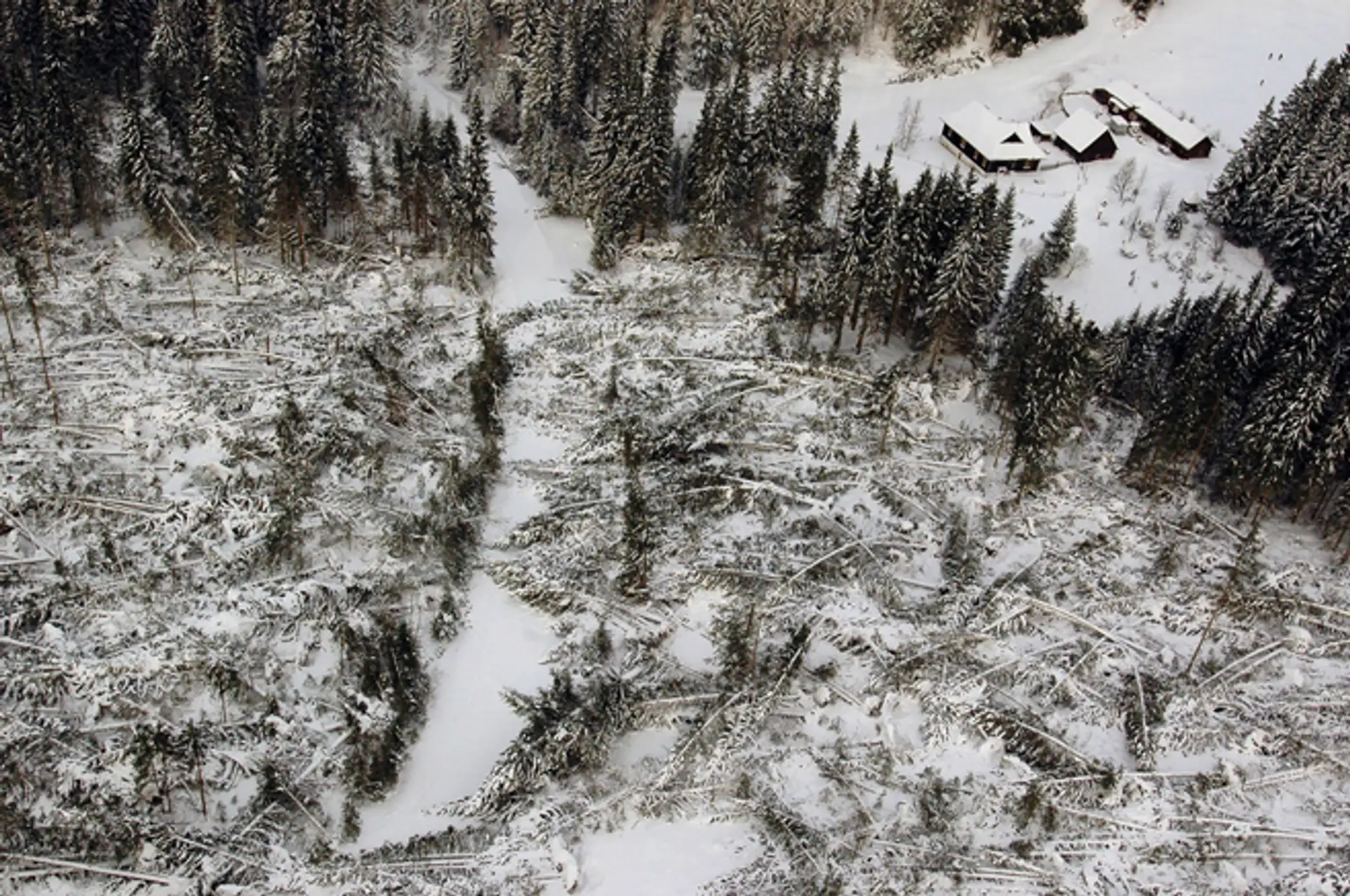 Vysoké Tatry po ničivej víchrici z 19. novembra 2004.