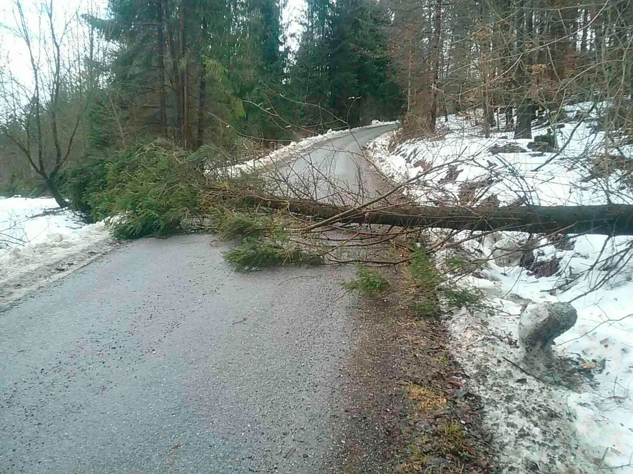 Ilustračná foto