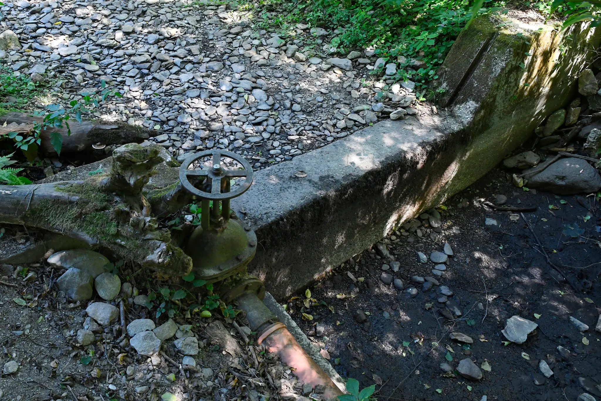 V obci Pača mali mimoriadnu situáciu s nedostatkom vody (12.8.2022)