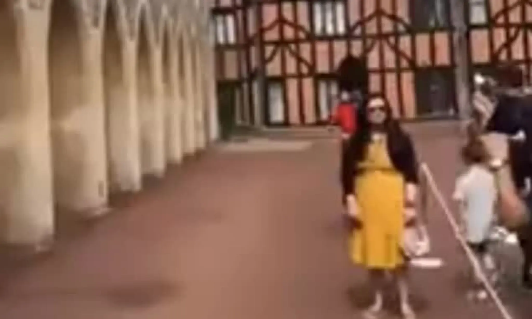 Kráľovský strážca odsotil turistku