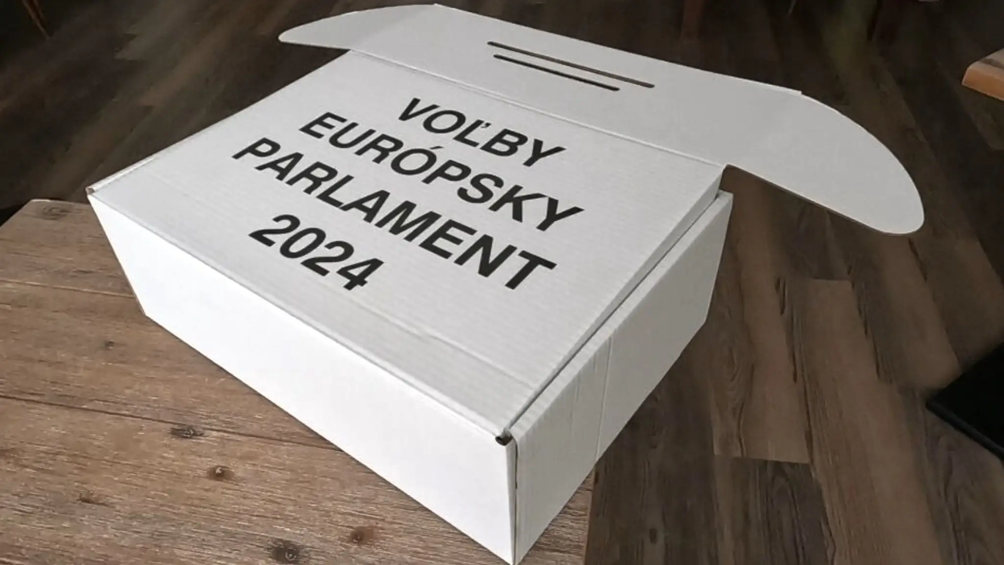 Voľby do Európskeho parlamentu sa na Slovensku uskutočnia v sobotu (8. 6.). Ilustračná snímka.