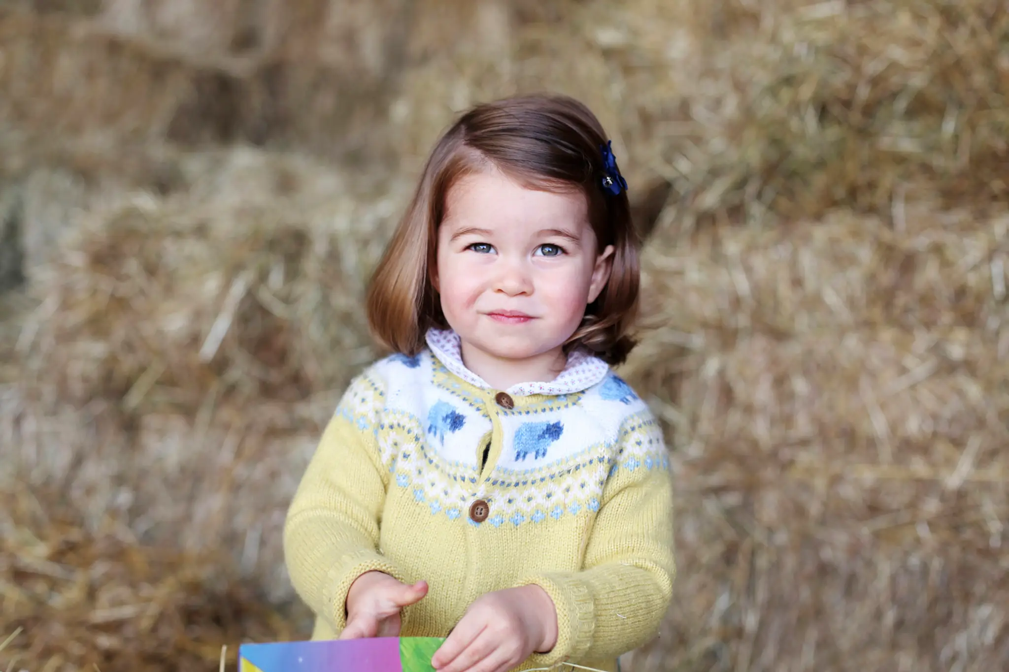 Britská kráľovská rodina zverejnila v nedeľu 6. mája 2018 prvé oficiálne fotografie princa Louisa, ktorý sa narodil 23. apríla