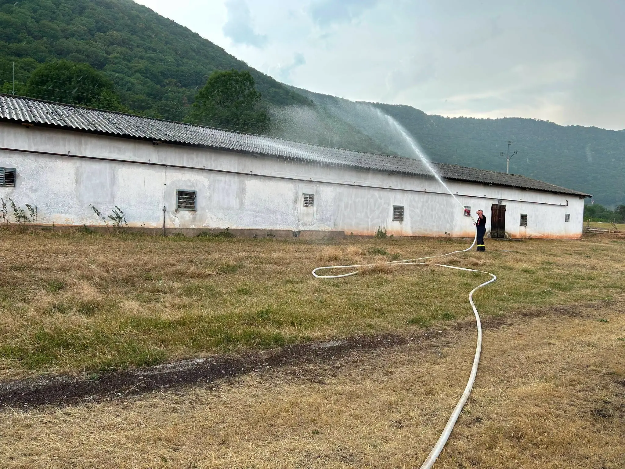 Hasiči zasahovali pri záchrane 20-tisíc kurčiat