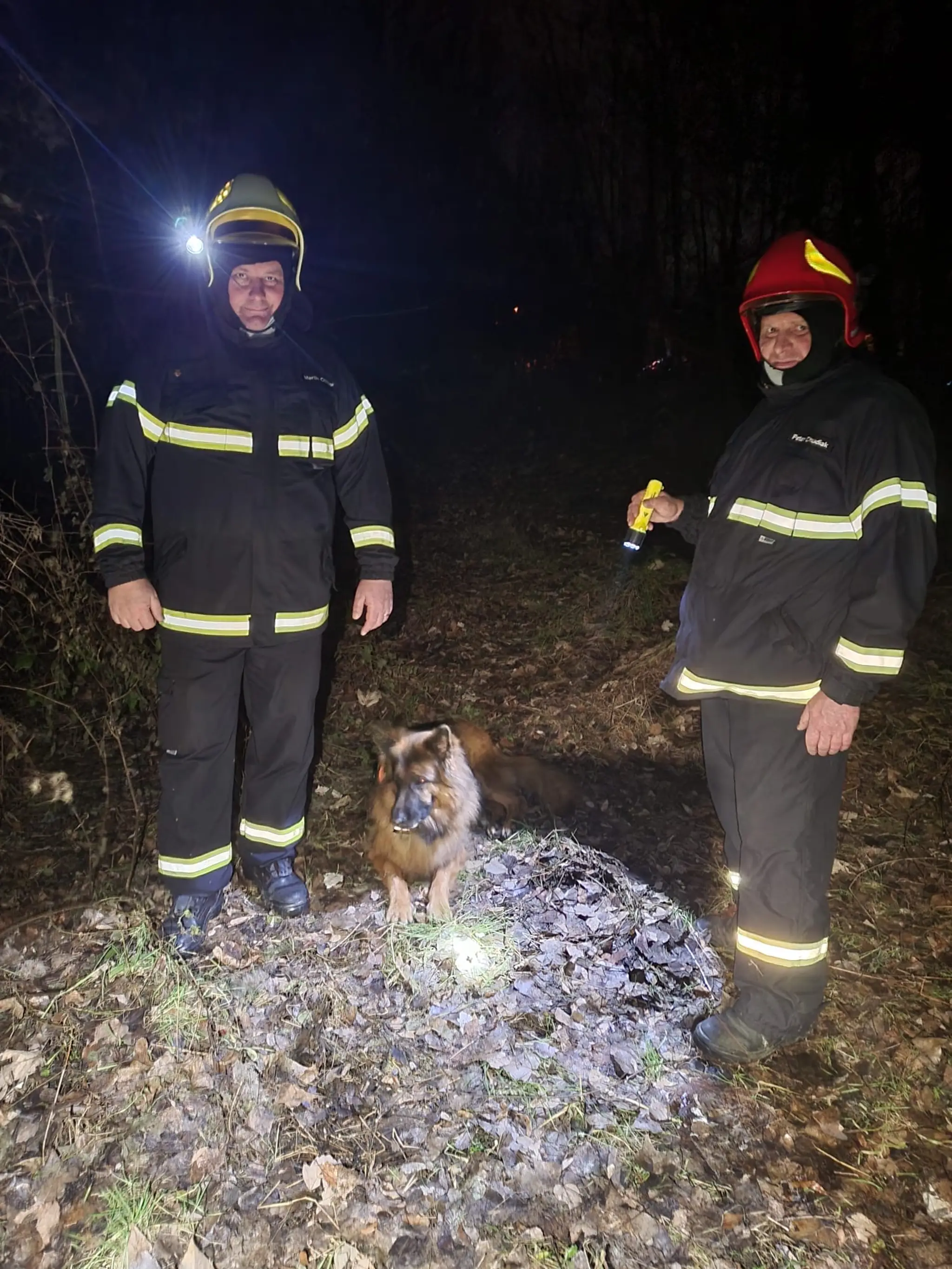 Pátranie po nezvestnej Márii (8. 1.)