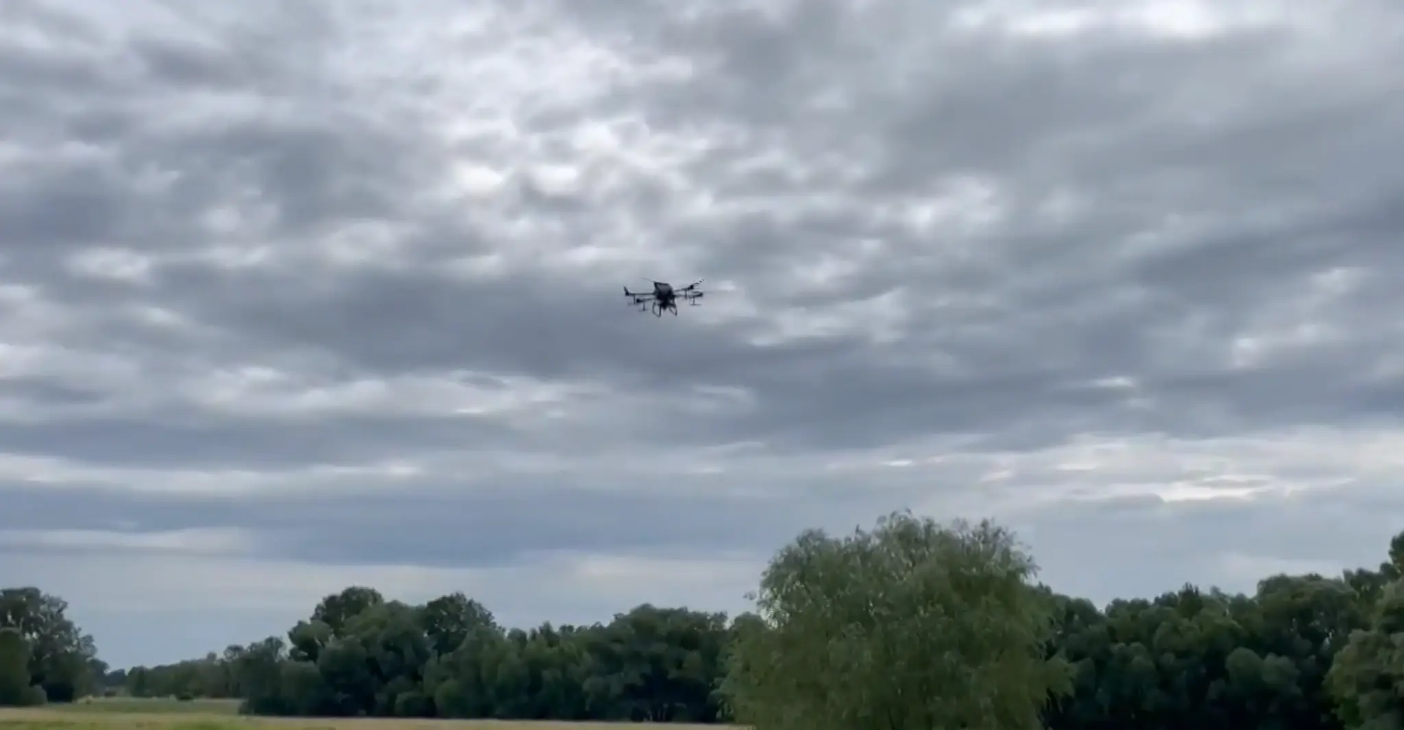 Dron
