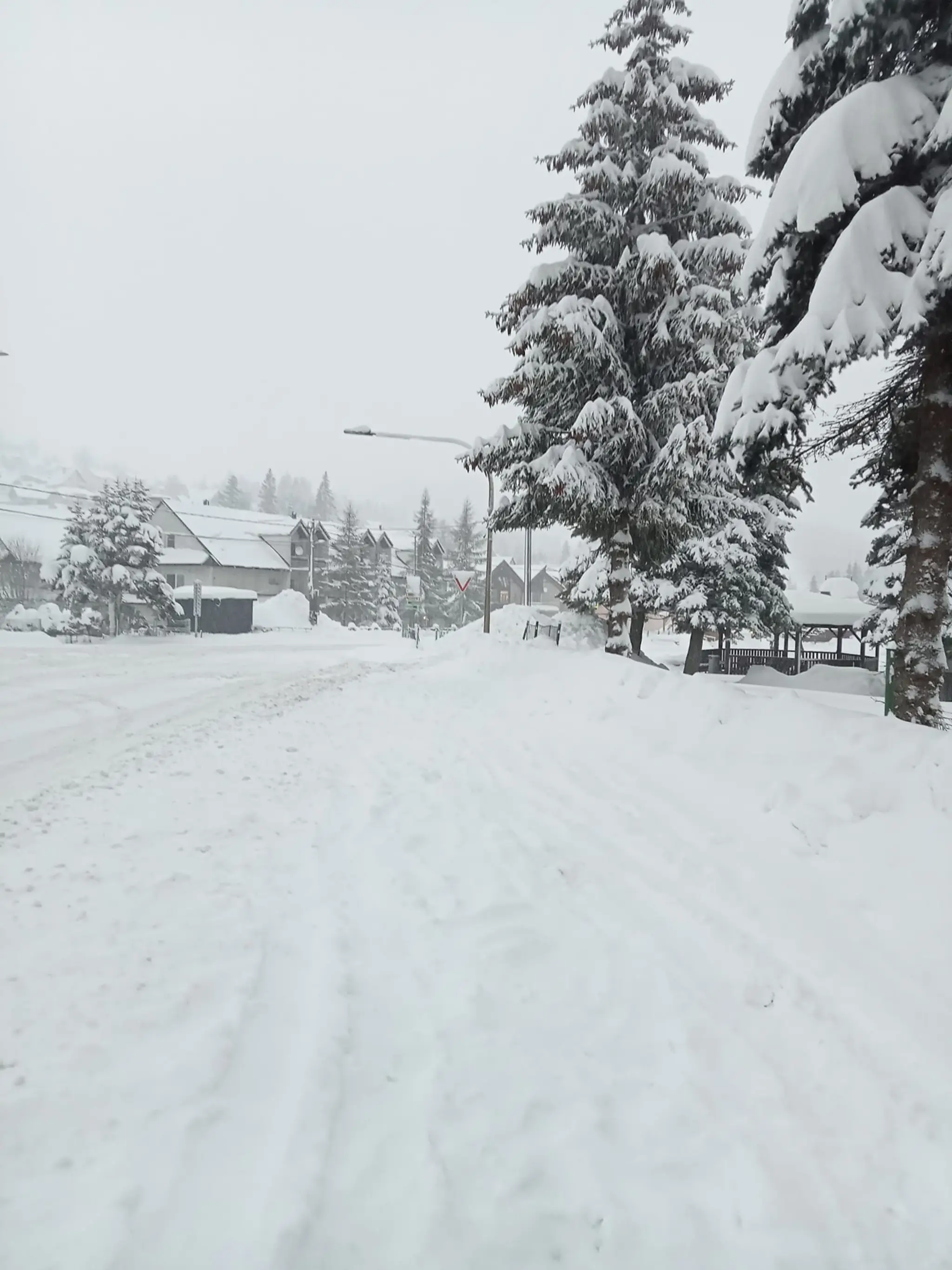 Obec Oravská Lesná, okres Námestovo