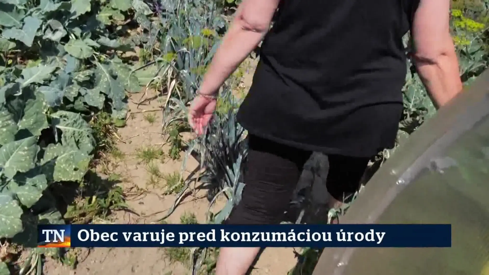 2026-08-03-TN-16-Obec-varuje-pred-konzumaciou-urody