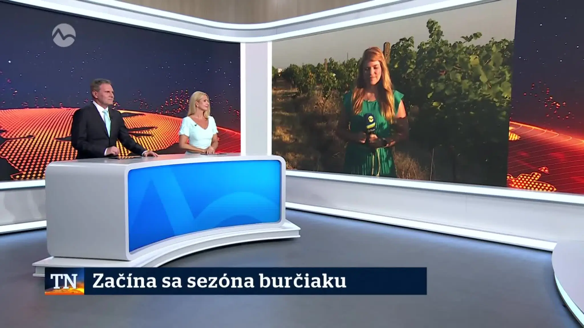 2026-08-08-TN-5-Zacina-sa-sezona-burciaku