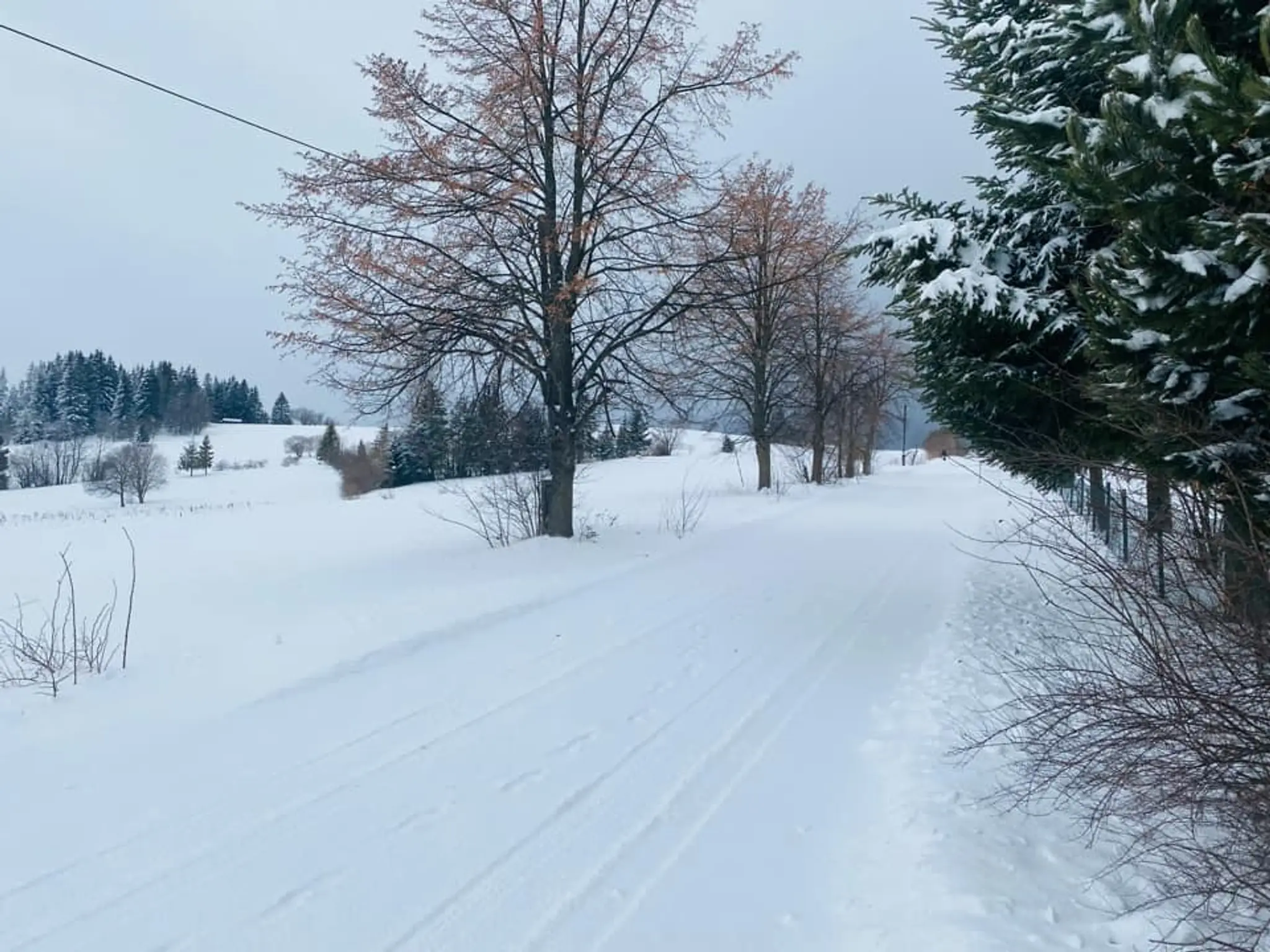 Obec Oravské Veselé, okres Námestovo