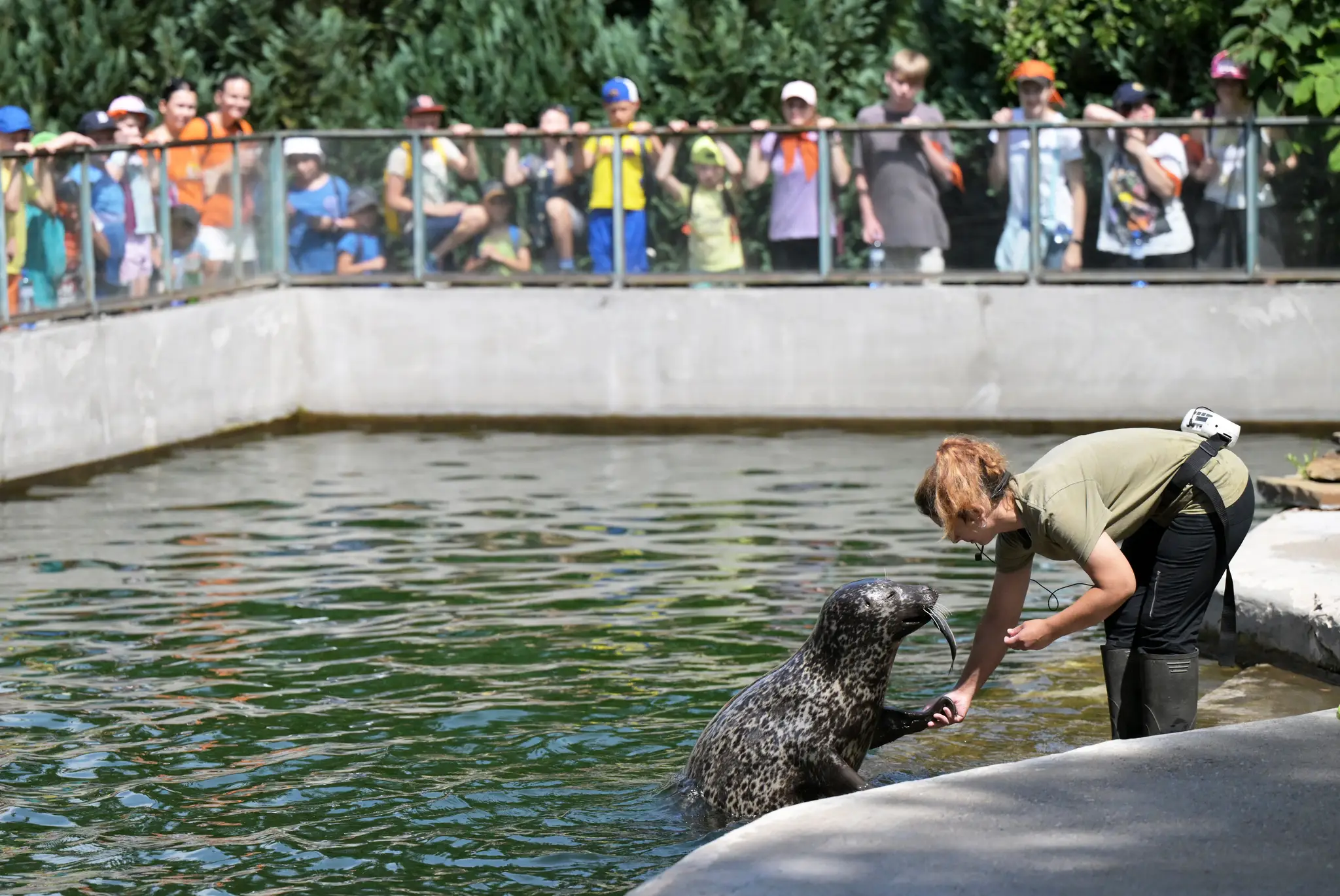 Košická zoo