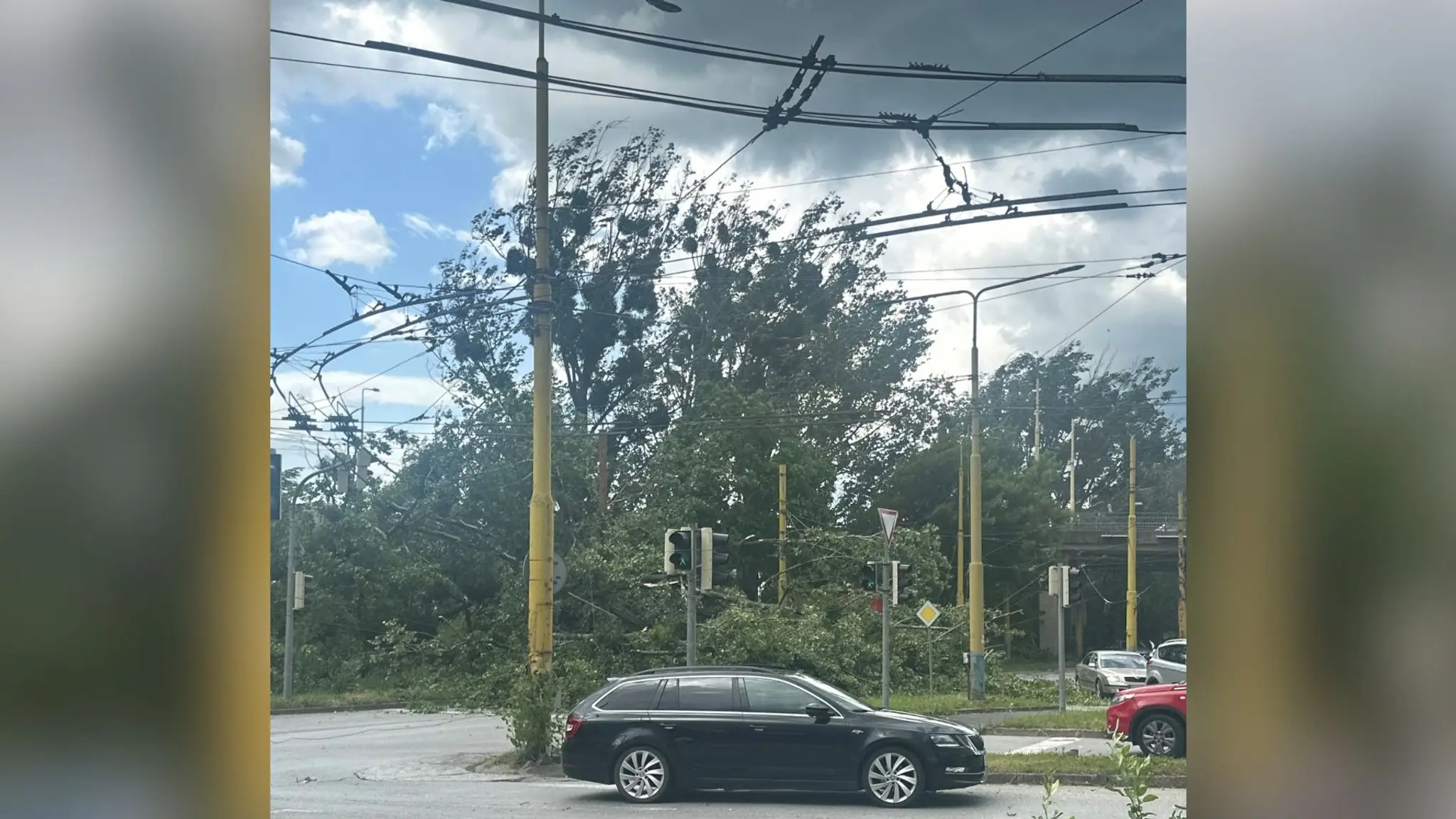 Spadnutý strom potrhal elektrické vedenie.
