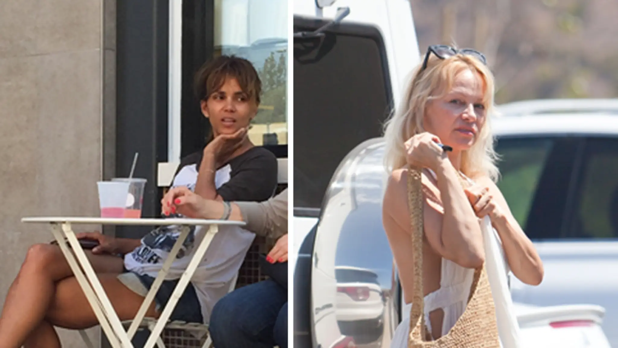 Halle Berry a Pamela Anderson