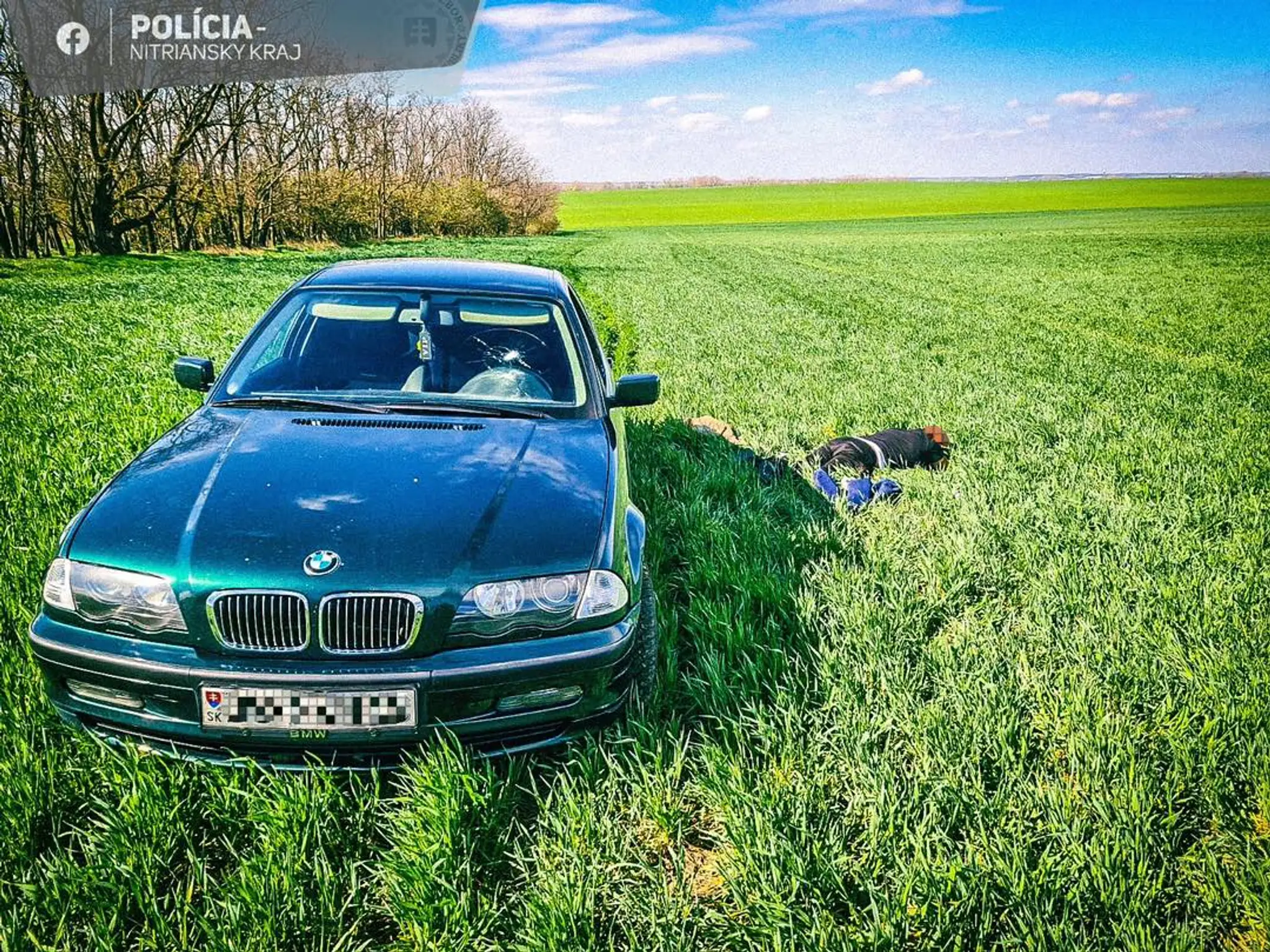 Policajná naháňačka