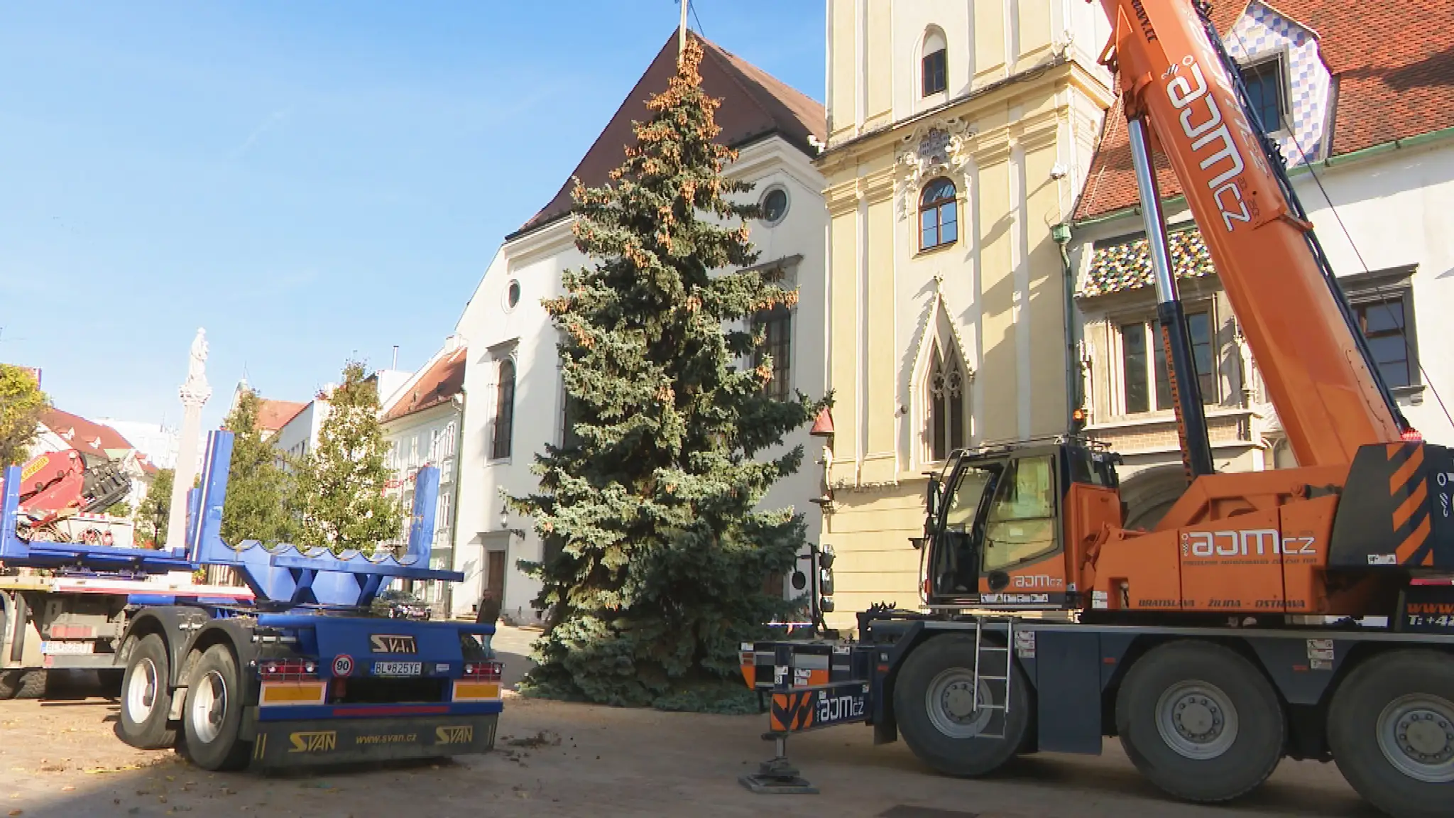 Vianočný stromček.