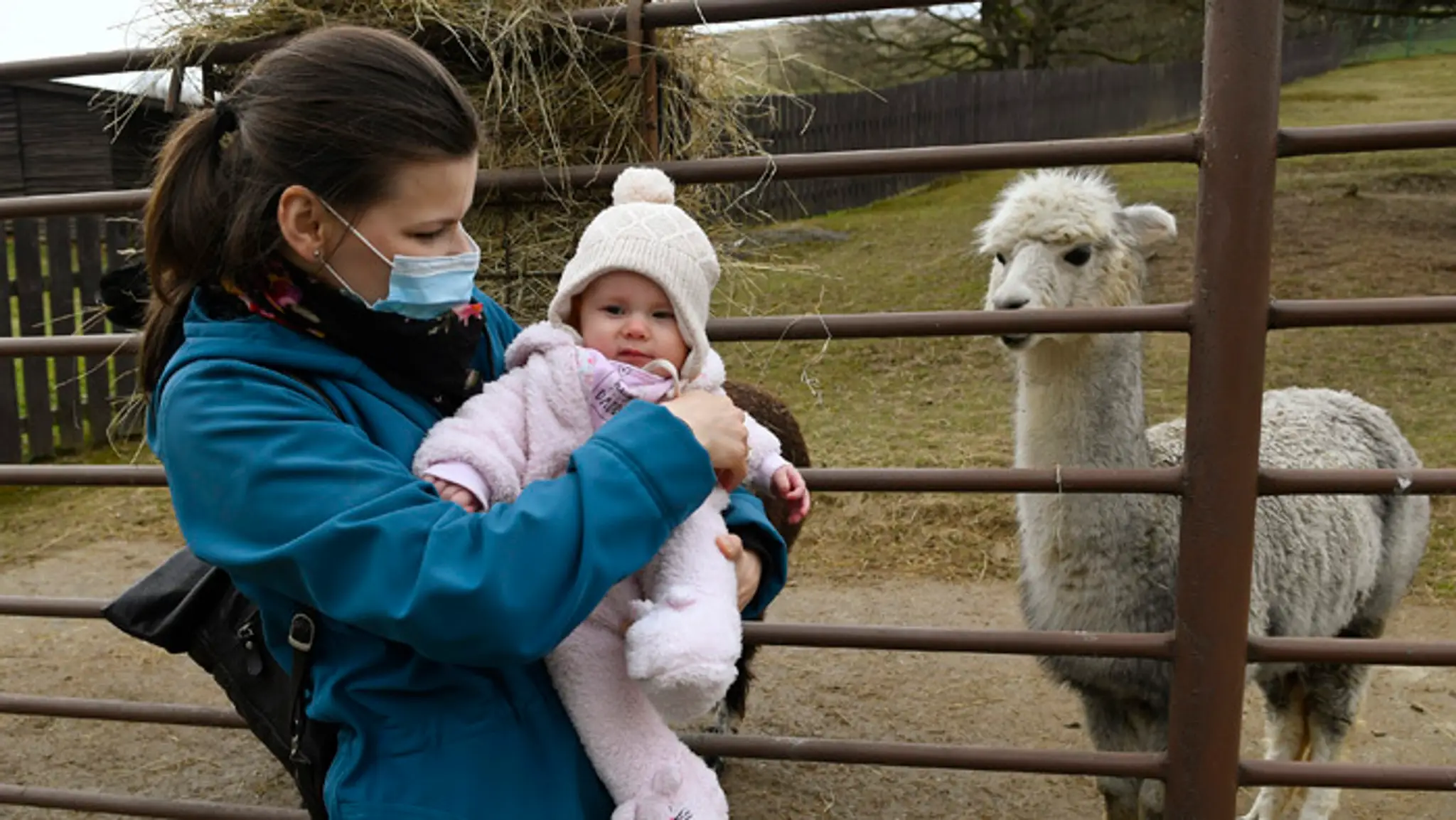 Znovuotvorenie zoo v Košiciach.
