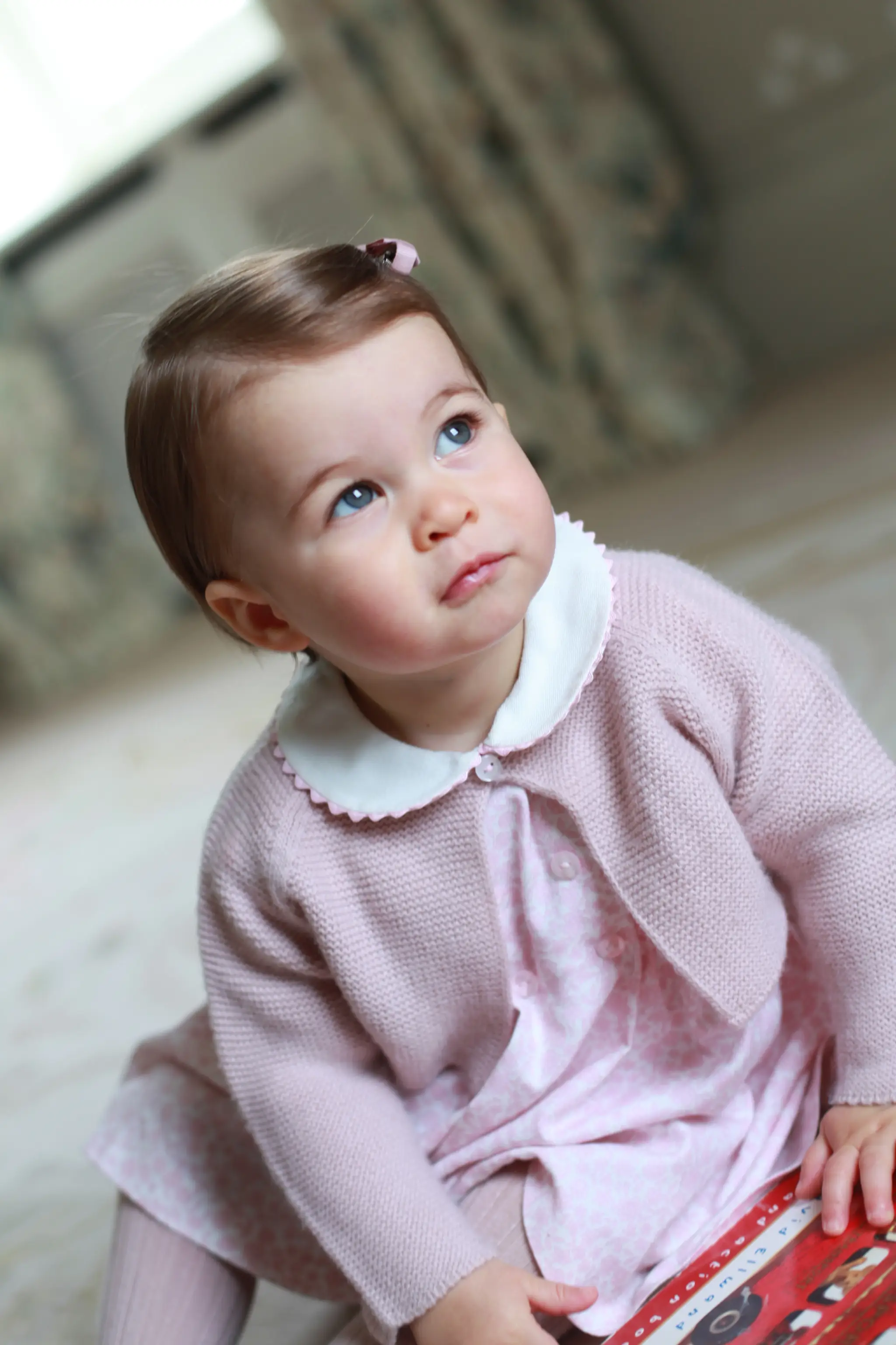 Princezná Charlotte sa narodila 2. mája 2015. Kate s ňou vyšla v náručí pred fotografov len pár hodín po pôrode.