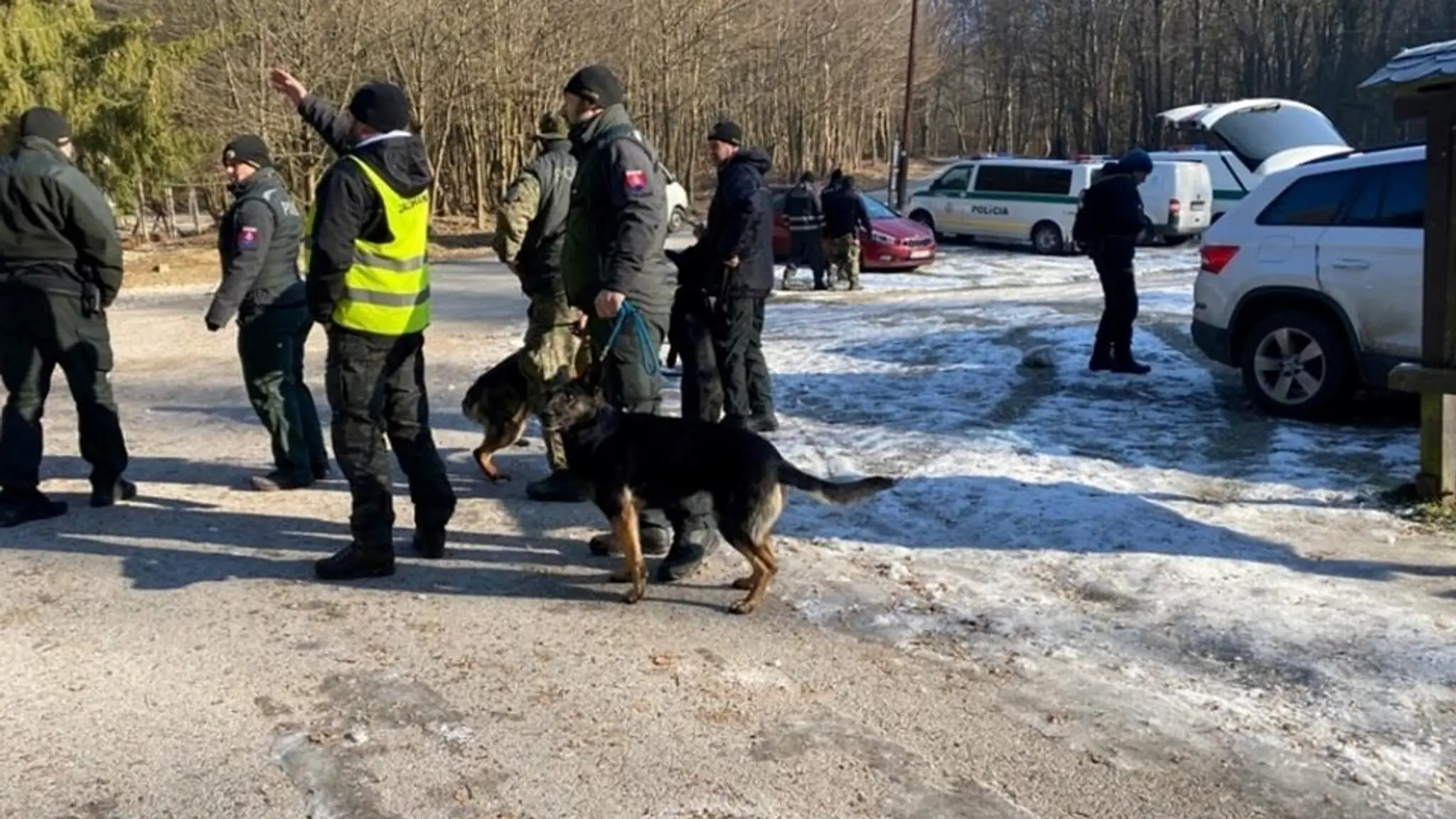 Policajti s pátracími psami od skorého rána prehľadávajú lesy nad Račou