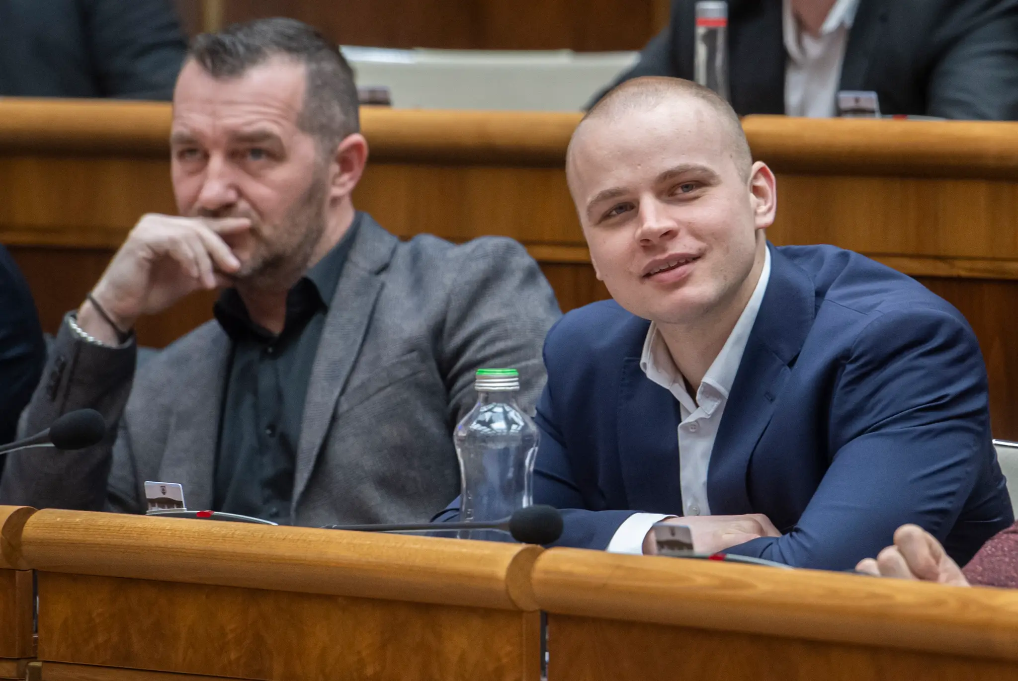 Hlasovanie o predčasných voľbách.
