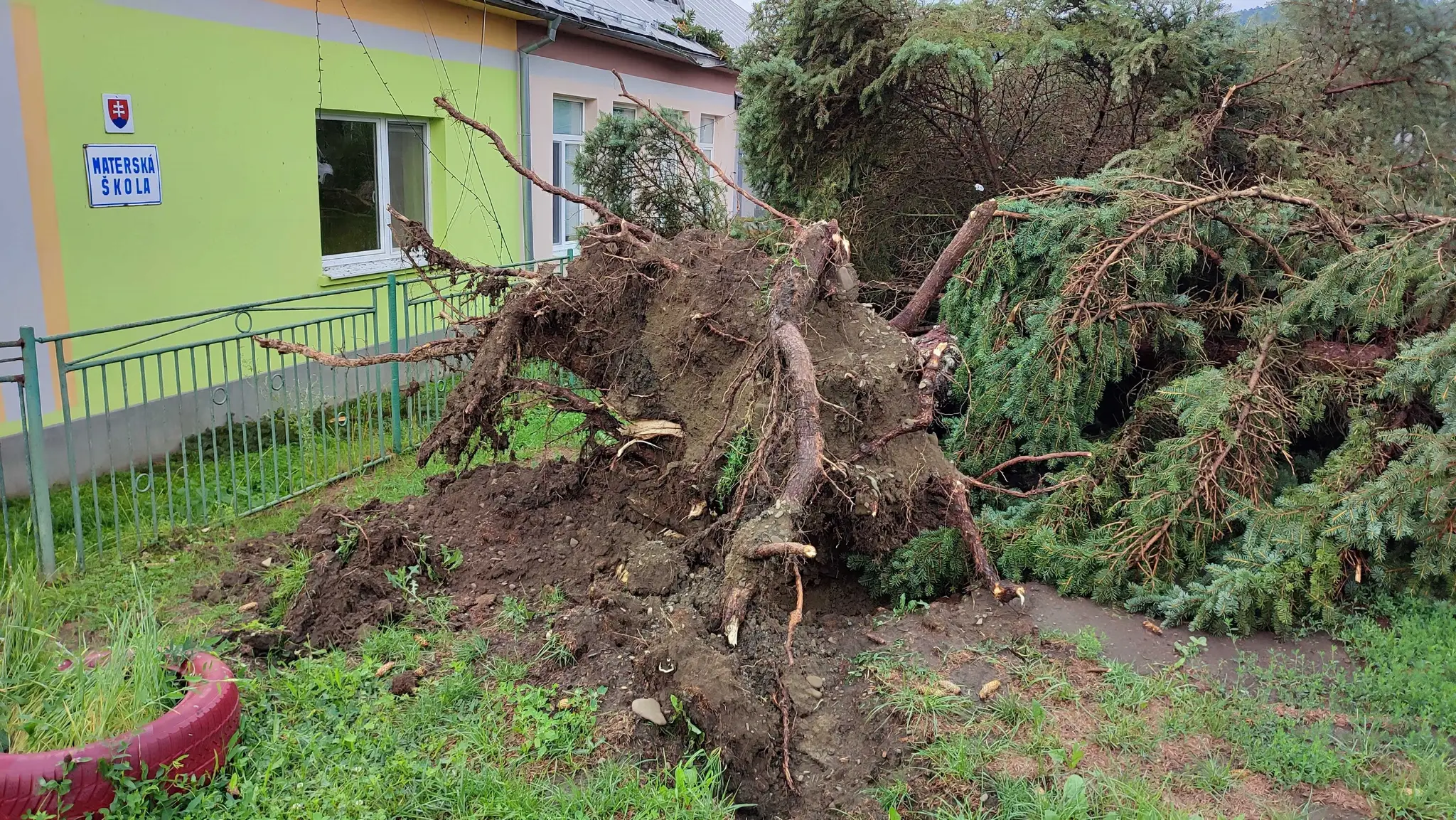 Popadané stromy v obci Hankovce.