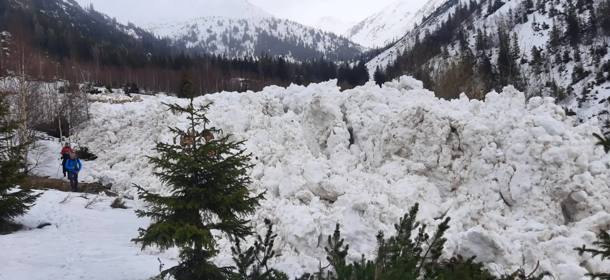 V Žiarskej doline spadla lavína