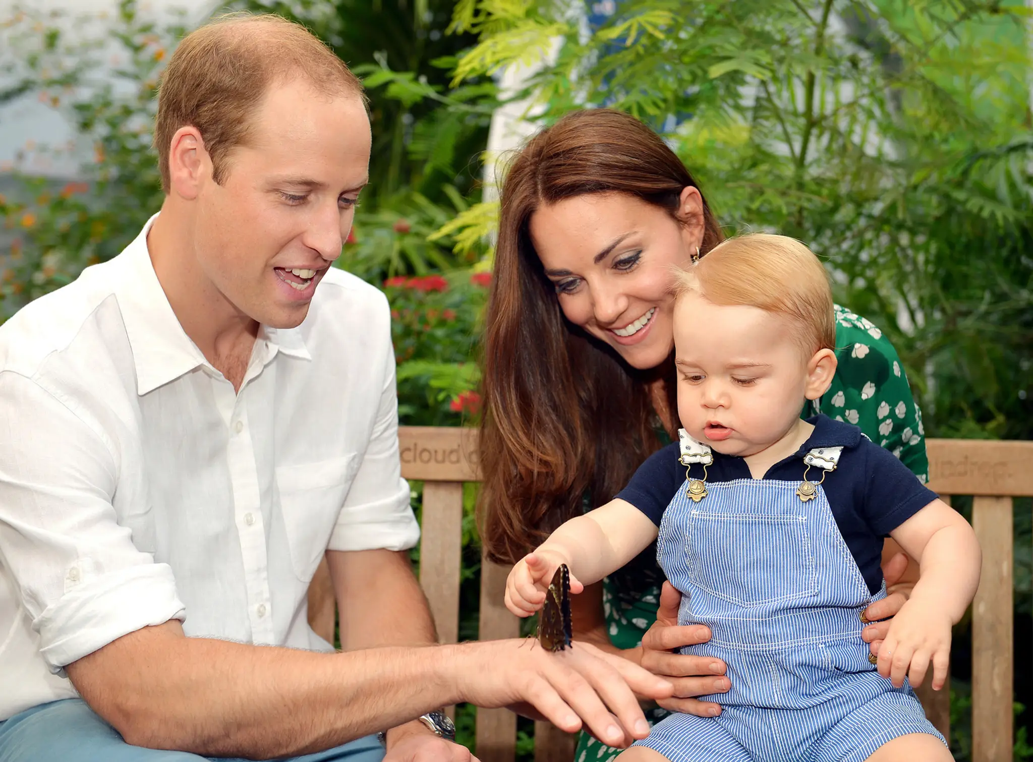 William a Kate so synom princom Georgeom.