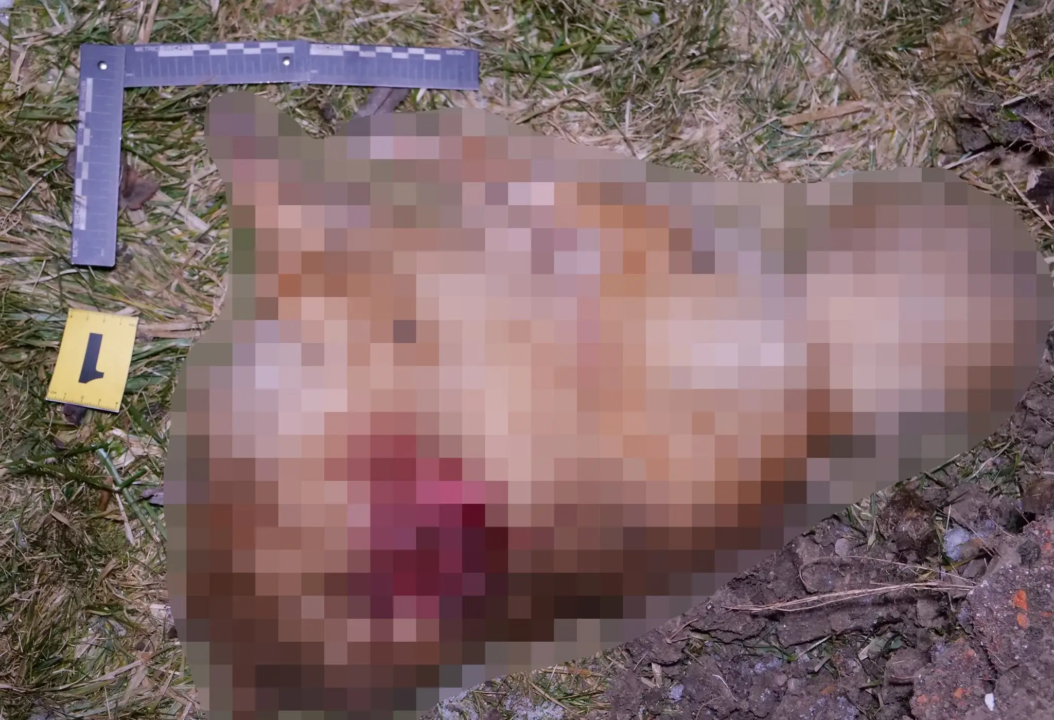 Muž z Klenovca brutálnym spôsobom zabil psa